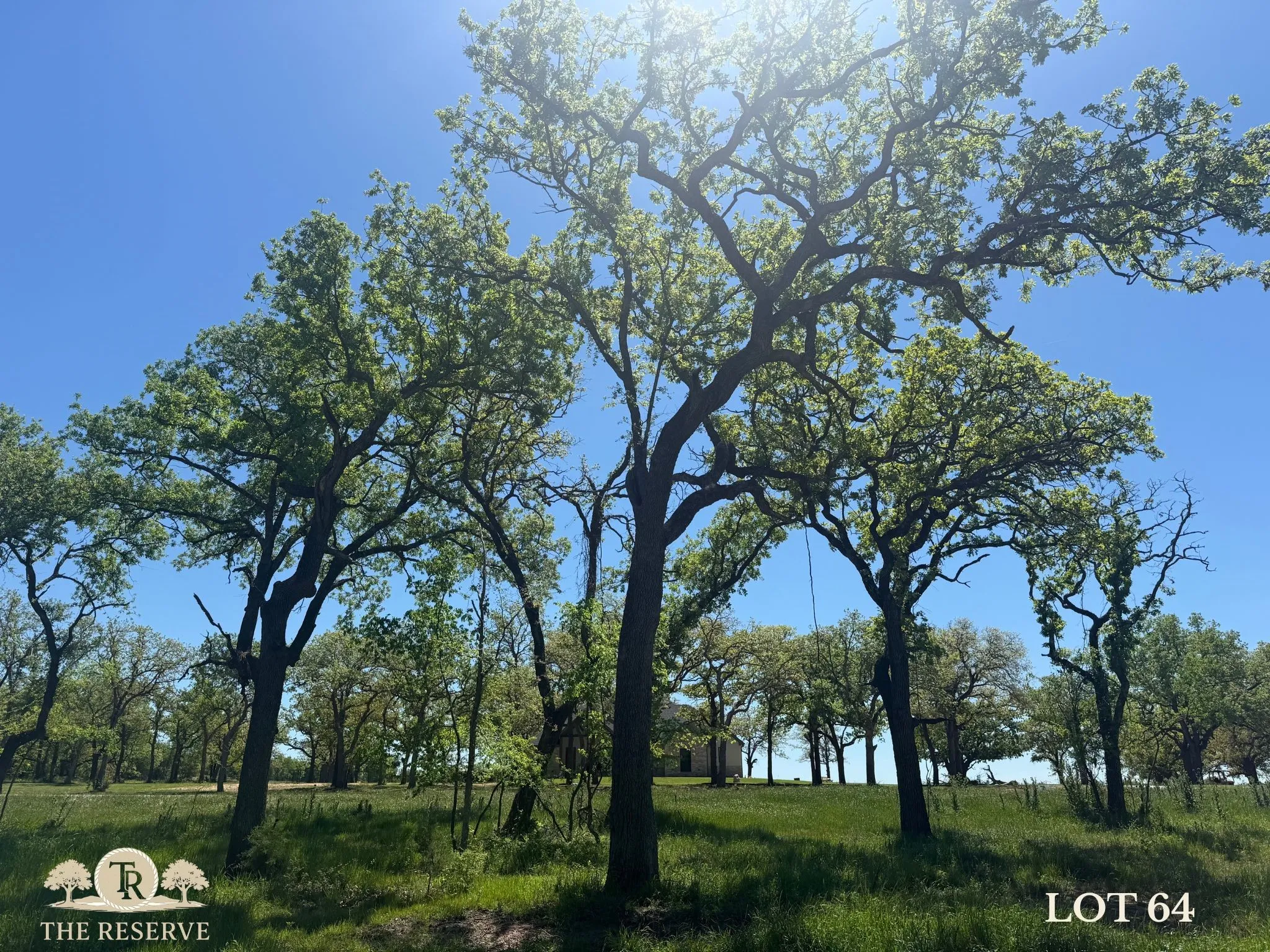 Unimproved Land For Sale in Parker County , Lot 64 Camden Lane, Springtown, Texas 76082, 0, 0, Garage spaces, 0 Sqft, built in 0, Price $92,000, mls#21098386, Real Estate Agent in Springtown, Homes For Sale in Parker county, Homes For Sale in Springtown, Realtor in Springtown Texas, Real Estate Brokerage Independent Realty Texas, Luminita Cordes Realtor