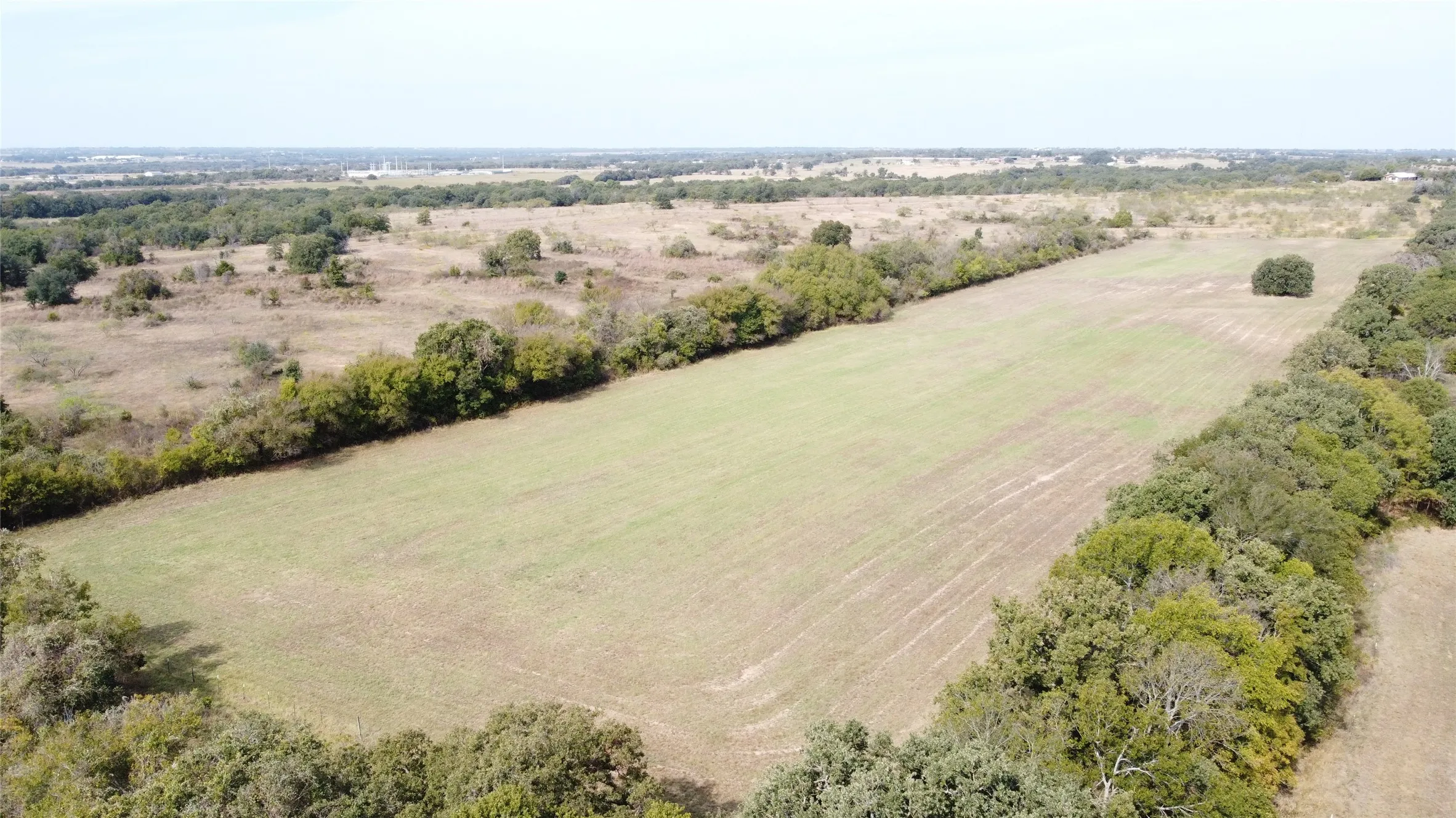 Aerial view of fenced pasture.  One of the two pastures of coastal