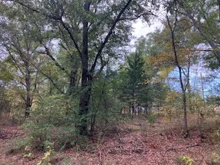 Unimproved Land For Sale in Henderson County , TBD Lot 16 Westwood Drive, Trinidad, Texas 75163, 0, 0, Garage spaces, 0 Sqft, built in 0, mls#21098688, Real Estate Agent in Trinidad, Homes For Sale in Henderson county, Homes For Sale in Trinidad, Realtor in Trinidad Texas, Real Estate Brokerage Independent Realty Texas, Luminita Cordes Realtor