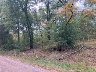 Unimproved Land For Sale in Henderson County , TBD Lot 16 Westwood Drive, Trinidad, Texas 75163, 0, 0, Garage spaces, 0 Sqft, built in 0, mls#21098688, Real Estate Agent in Trinidad, Homes For Sale in Henderson county, Homes For Sale in Trinidad, Realtor in Trinidad Texas, Real Estate Brokerage Independent Realty Texas, Luminita Cordes Realtor