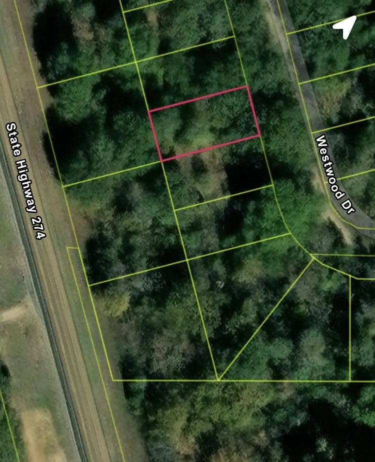 Unimproved Land For Sale in Henderson County , TBD Lot 16 Westwood Drive, Trinidad, Texas 75163, 0, 0, Garage spaces, 0 Sqft, built in 0, mls#21098688, Real Estate Agent in Trinidad, Homes For Sale in Henderson county, Homes For Sale in Trinidad, Realtor in Trinidad Texas, Real Estate Brokerage Independent Realty Texas, Luminita Cordes Realtor