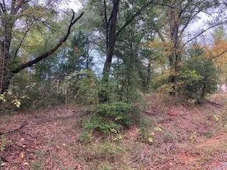 Unimproved Land For Sale in Henderson County , TBD Lot 16 Westwood Drive, Trinidad, Texas 75163, 0, 0, Garage spaces, 0 Sqft, built in 0, mls#21098688, Real Estate Agent in Trinidad, Homes For Sale in Henderson county, Homes For Sale in Trinidad, Realtor in Trinidad Texas, Real Estate Brokerage Independent Realty Texas, Luminita Cordes Realtor