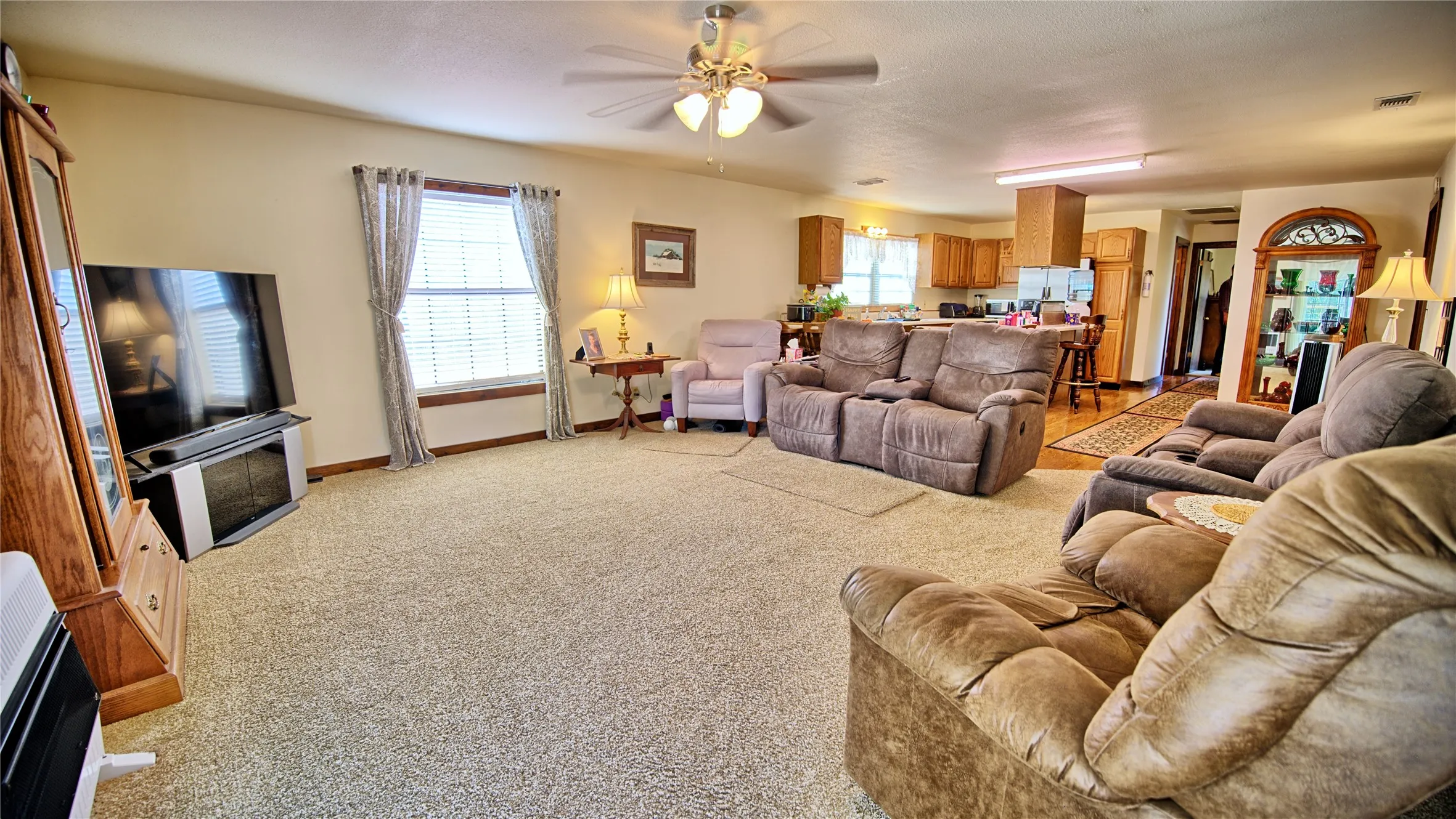 Living room featuring light colored carpet, healthy amount of natural light, a ceiling fan, and heating unit