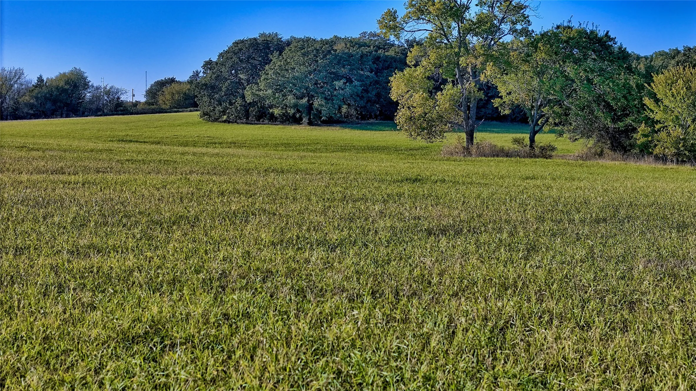 View of grassy yard featuring a rural view