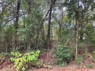Unimproved Land For Sale in Henderson County , TBD Lot 17 Westwood Drive, Trinidad, Texas 75163, 0, 0, Garage spaces, 0 Sqft, built in 0, mls#21098717, Real Estate Agent in Trinidad, Homes For Sale in Henderson county, Homes For Sale in Trinidad, Realtor in Trinidad Texas, Real Estate Brokerage Independent Realty Texas, Luminita Cordes Realtor