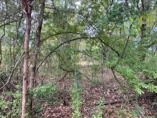 Unimproved Land For Sale in Henderson County , TBD Lot 17 Westwood Drive, Trinidad, Texas 75163, 0, 0, Garage spaces, 0 Sqft, built in 0, mls#21098717, Real Estate Agent in Trinidad, Homes For Sale in Henderson county, Homes For Sale in Trinidad, Realtor in Trinidad Texas, Real Estate Brokerage Independent Realty Texas, Luminita Cordes Realtor