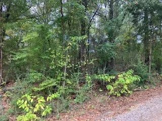 Unimproved Land For Sale in Henderson County , TBD Lot 17 Westwood Drive, Trinidad, Texas 75163, 0, 0, Garage spaces, 0 Sqft, built in 0, mls#21098717, Real Estate Agent in Trinidad, Homes For Sale in Henderson county, Homes For Sale in Trinidad, Realtor in Trinidad Texas, Real Estate Brokerage Independent Realty Texas, Luminita Cordes Realtor