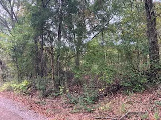Unimproved Land For Sale in Henderson County , TBD Lot 17 Westwood Drive, Trinidad, Texas 75163, 0, 0, Garage spaces, 0 Sqft, built in 0, mls#21098717, Real Estate Agent in Trinidad, Homes For Sale in Henderson county, Homes For Sale in Trinidad, Realtor in Trinidad Texas, Real Estate Brokerage Independent Realty Texas, Luminita Cordes Realtor