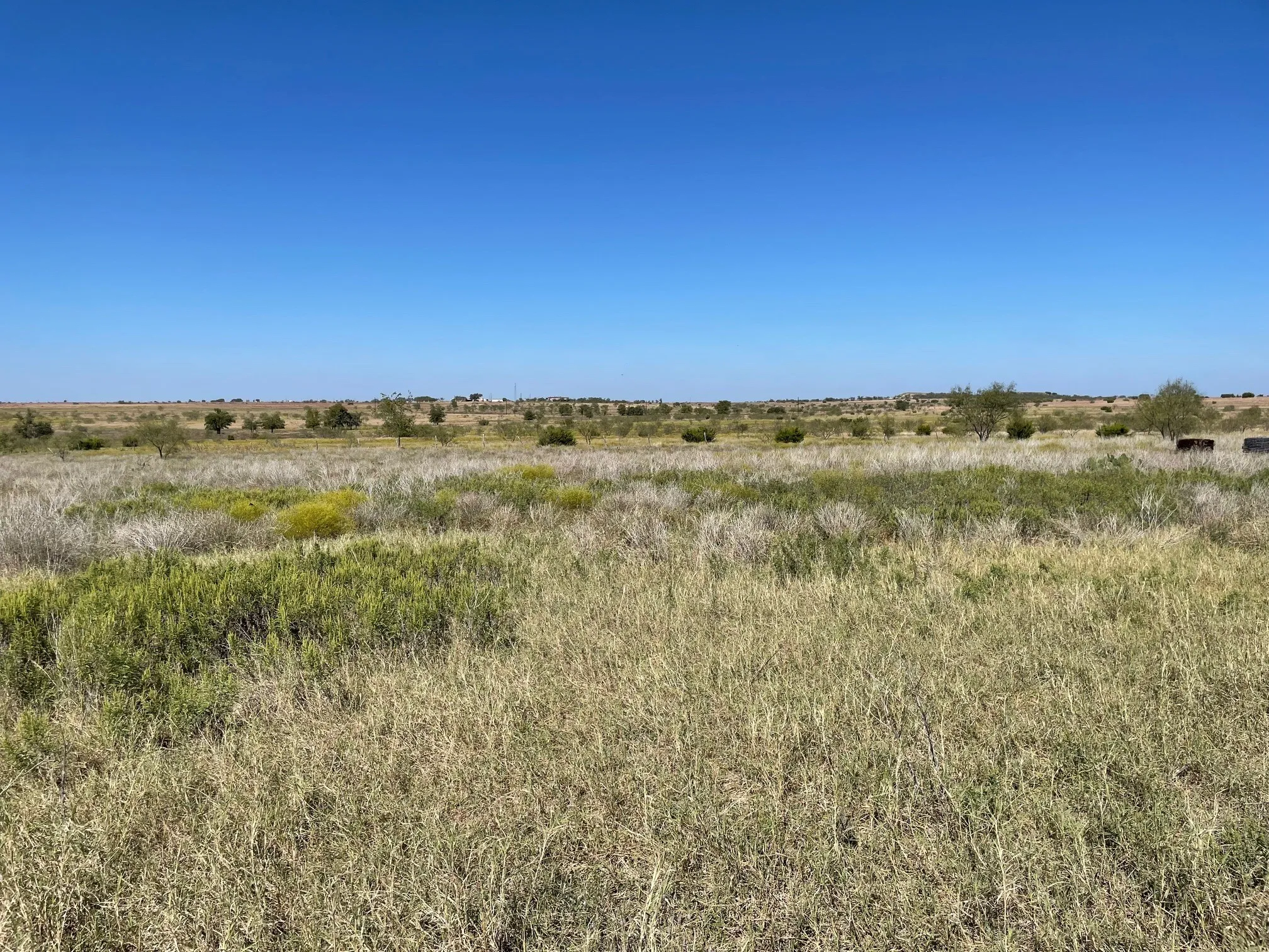 View of undeveloped land featuring rural landscape