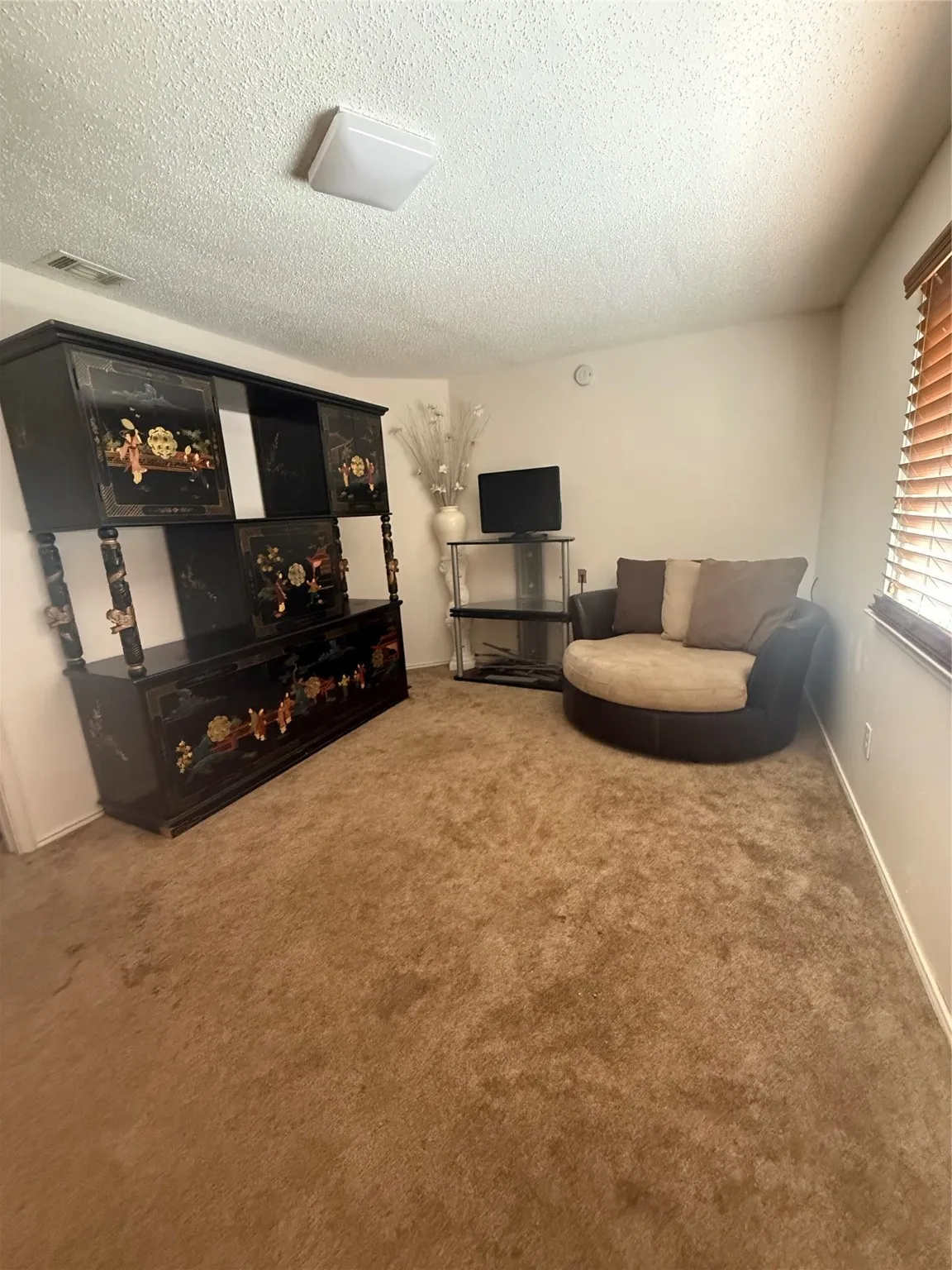 Carpeted living room featuring a textured ceiling