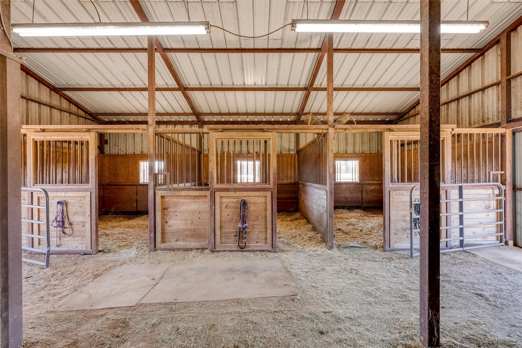 3 Stalls, Stall Mats, Fly Spray System, and French drain for water trough