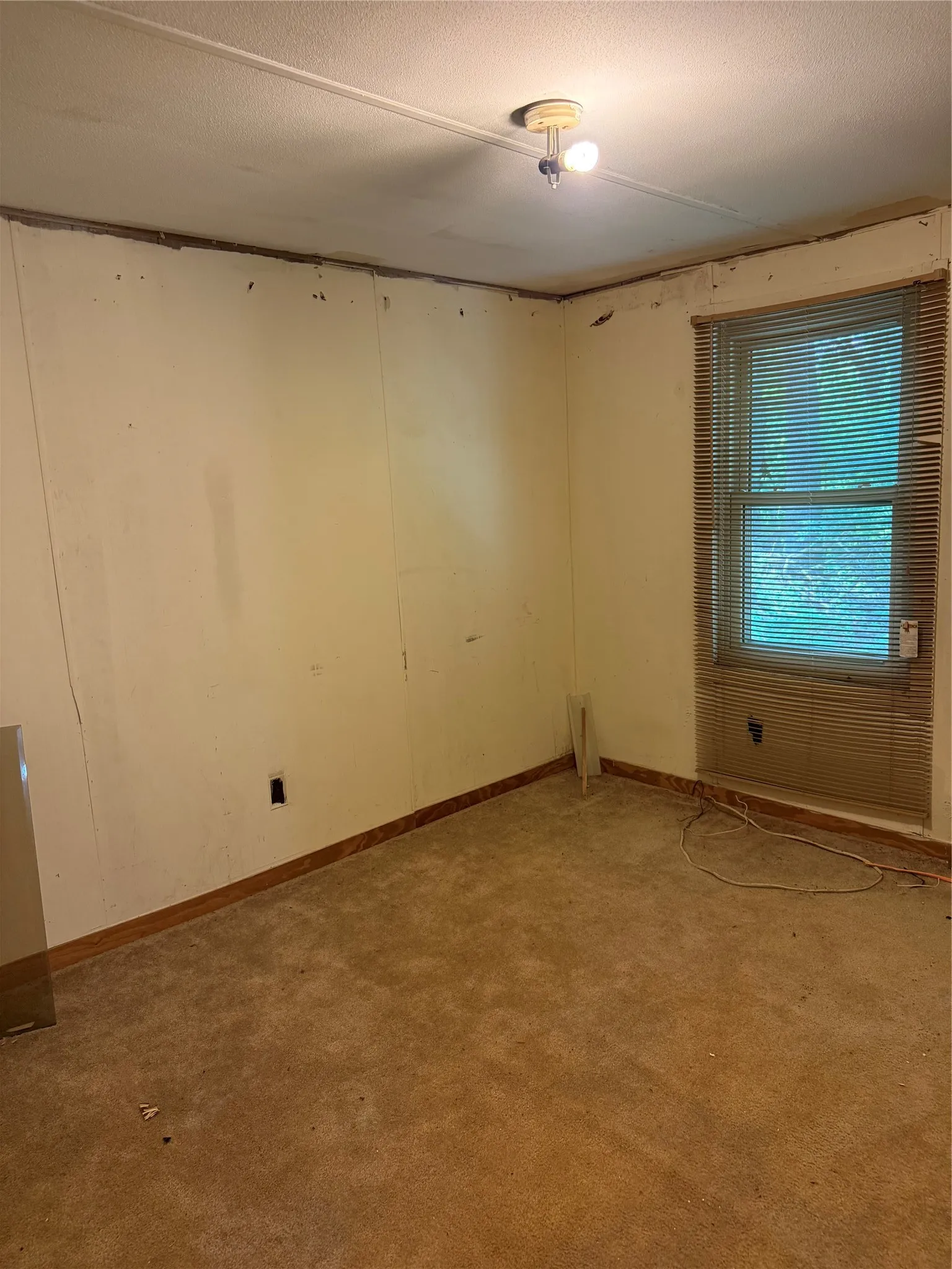 Carpeted spare room with baseboards and a textured ceiling