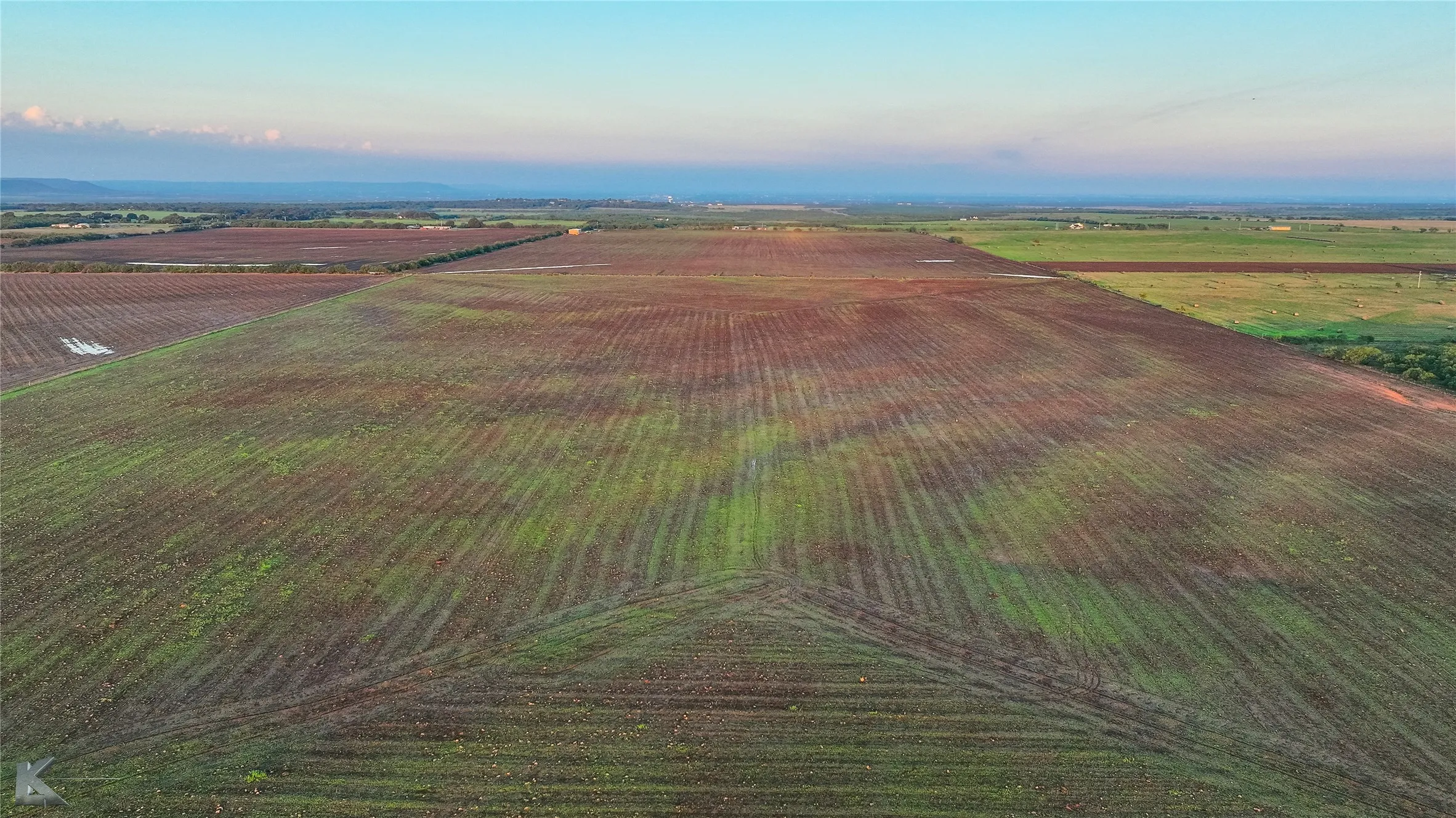 Overview of rural landscape featuring rows of crops