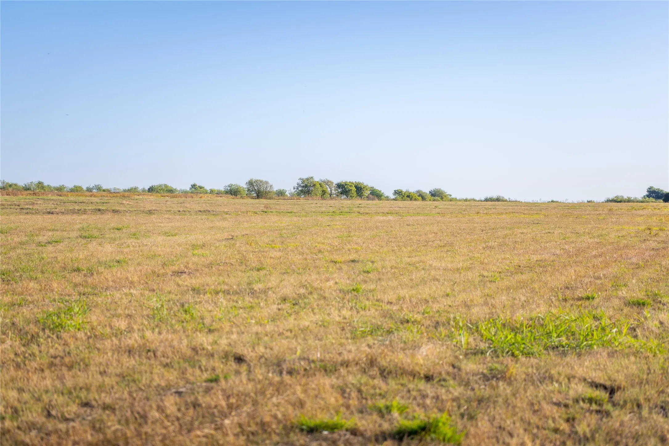 Farm For Sale in Johnson County , 4045 County Road 212, Alvarado, Texas 76009, 3 Bedroom, 2 Bathroom, 2 Garage spaces, 2,022 Sqft, built in 1958, Preowned, mls#21098858, Real Estate Agent in Alvarado, Homes For Sale in Johnson county, Homes For Sale in Alvarado, Realtor in Alvarado Texas, Real Estate Brokerage Independent Realty Texas, Luminita Cordes Realtor