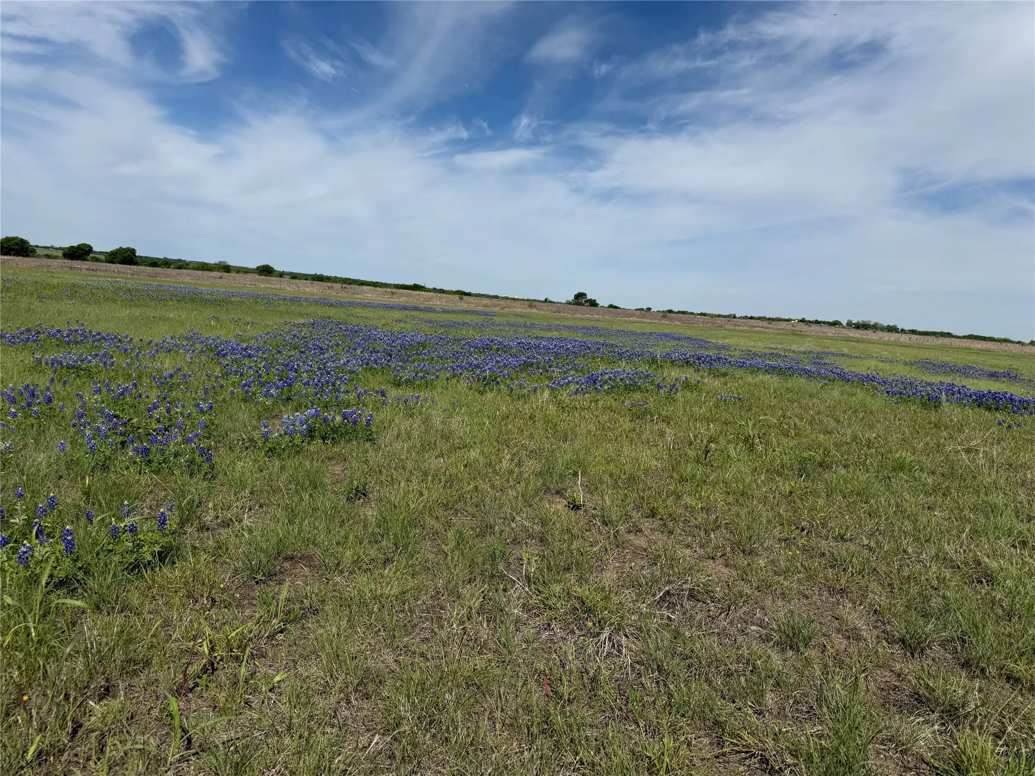 Farm For Sale in Johnson County , 4045 County Road 212, Alvarado, Texas 76009, 3 Bedroom, 2 Bathroom, 2 Garage spaces, 2,022 Sqft, built in 1958, Preowned, mls#21098858, Real Estate Agent in Alvarado, Homes For Sale in Johnson county, Homes For Sale in Alvarado, Realtor in Alvarado Texas, Real Estate Brokerage Independent Realty Texas, Luminita Cordes Realtor