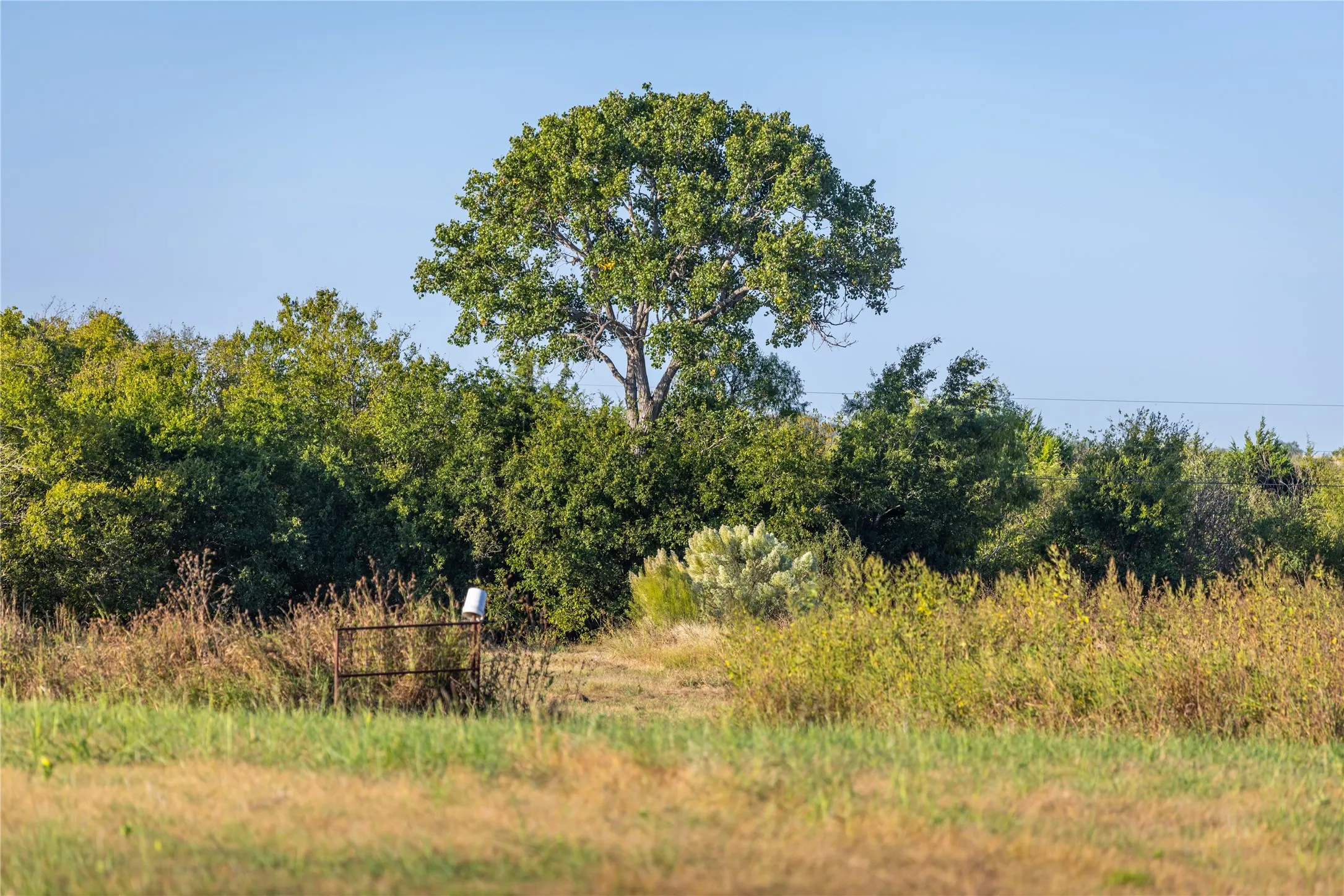 Farm For Sale in Johnson County , 4045 County Road 212, Alvarado, Texas 76009, 3 Bedroom, 2 Bathroom, 2 Garage spaces, 2,022 Sqft, built in 1958, Preowned, mls#21098858, Real Estate Agent in Alvarado, Homes For Sale in Johnson county, Homes For Sale in Alvarado, Realtor in Alvarado Texas, Real Estate Brokerage Independent Realty Texas, Luminita Cordes Realtor