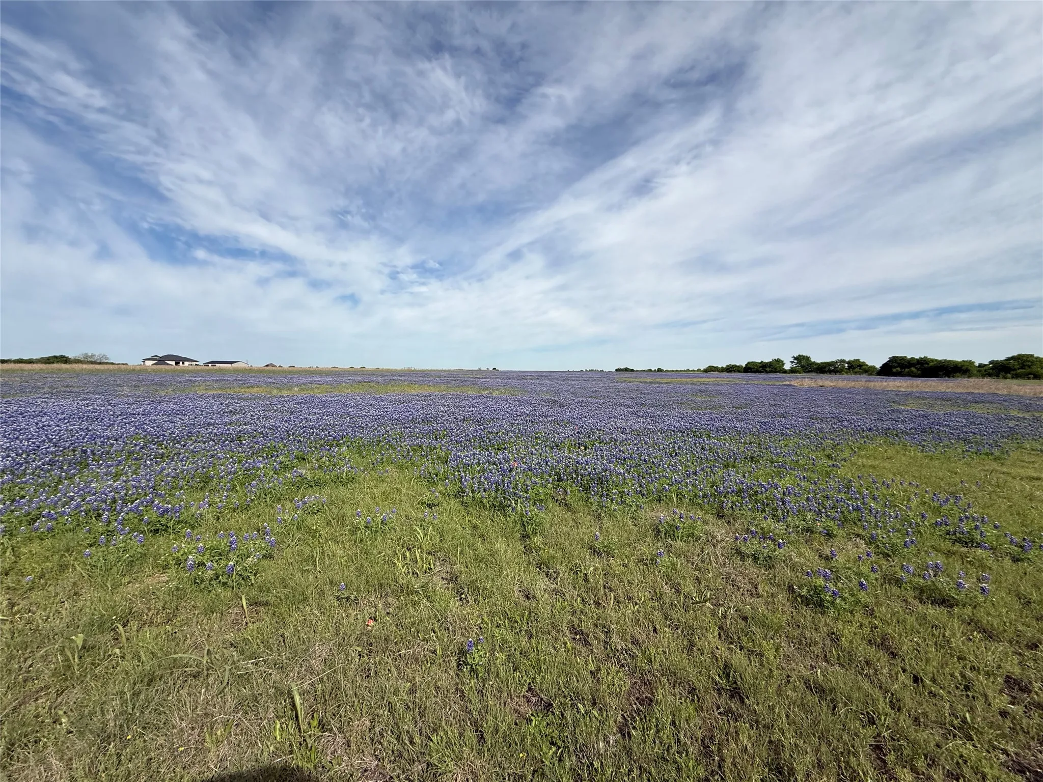 Farm For Sale in Johnson County , 4045 County Road 212, Alvarado, Texas 76009, 3 Bedroom, 2 Bathroom, 2 Garage spaces, 2,022 Sqft, built in 1958, Preowned, mls#21098858, Real Estate Agent in Alvarado, Homes For Sale in Johnson county, Homes For Sale in Alvarado, Realtor in Alvarado Texas, Real Estate Brokerage Independent Realty Texas, Luminita Cordes Realtor