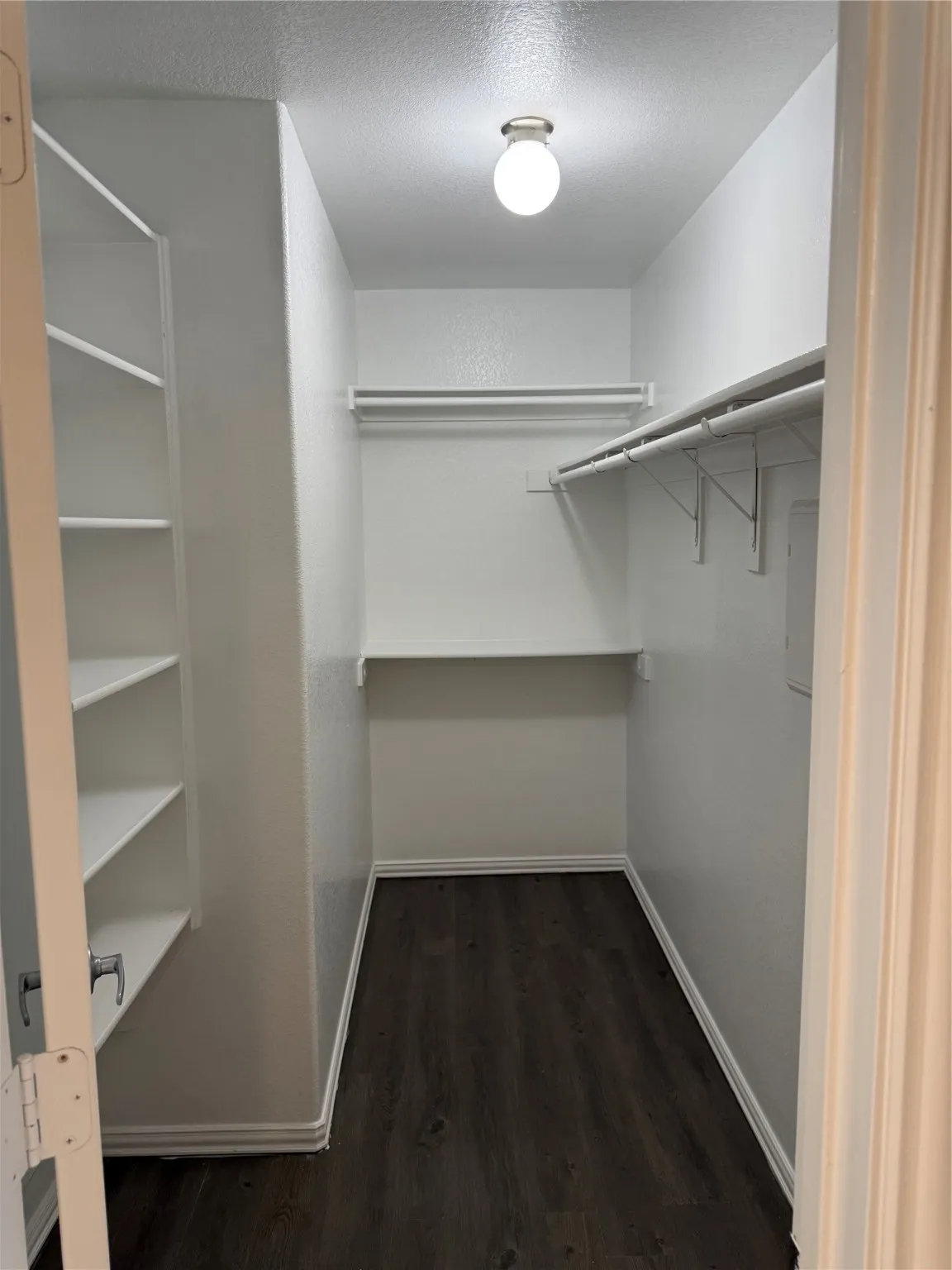 Spacious closet with dark wood-style floors