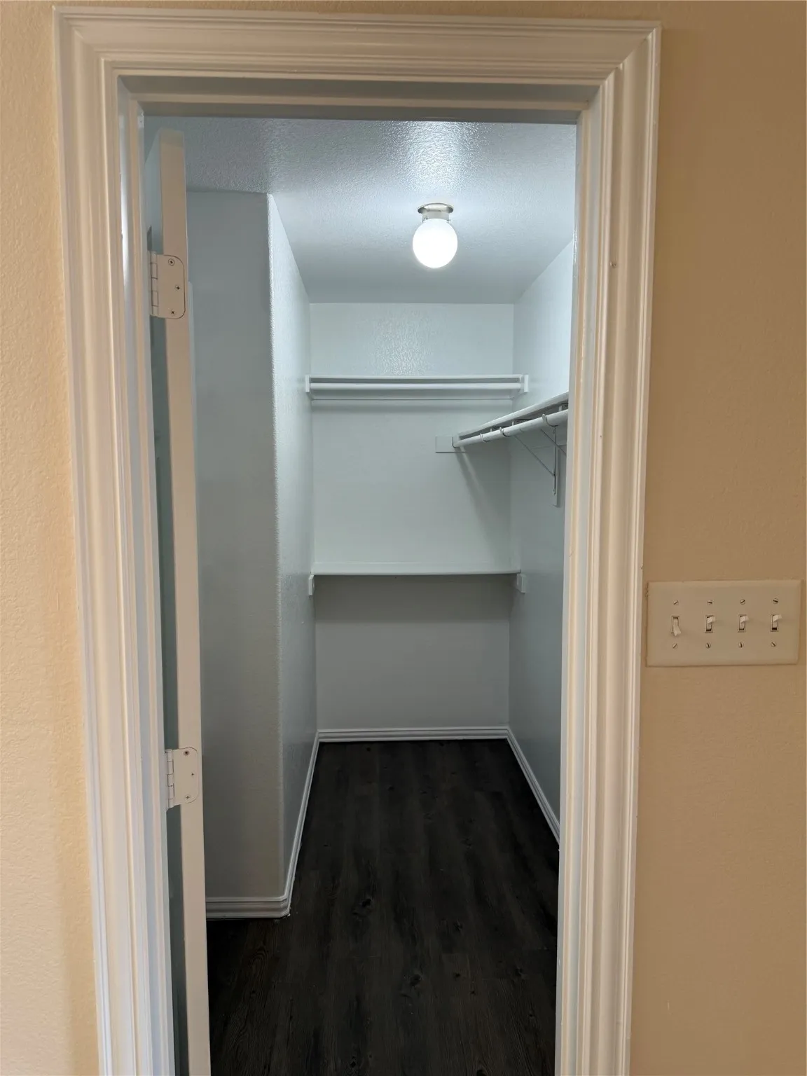 Spacious closet with dark wood-style floors