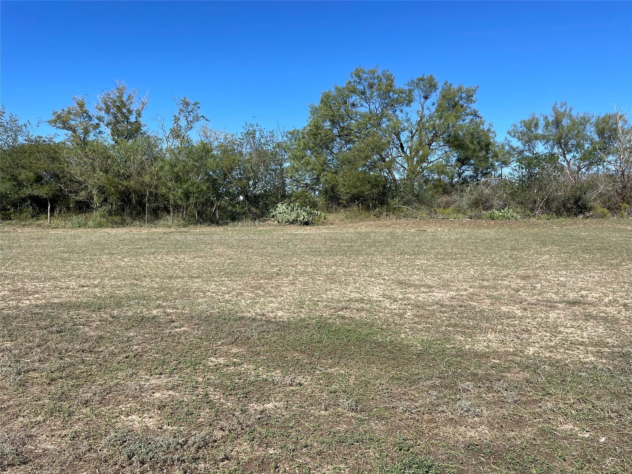 Unimproved Land For Sale in Mills County , 2002 America Street, Goldthwaite, Texas 76844, 0, 0, Garage spaces, 0 Sqft, built in 0, mls#21099874, Real Estate Agent in Goldthwaite, Homes For Sale in Mills county, Homes For Sale in Goldthwaite, Realtor in Goldthwaite Texas, Real Estate Brokerage Independent Realty Texas, Luminita Cordes Realtor