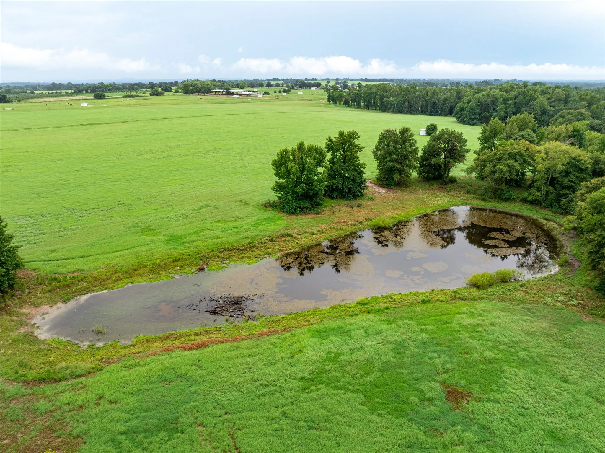 Single Family Residence For Sale in Van Zandt County , 7111 Fm 2339, Murchison, Texas 75778, 1 Bedroom, 1 Bathroom, Garage spaces, 640 Sqft, built in 2011, Preowned, Price $1,999,999, mls#21099592, Real Estate Agent in Murchison, Homes For Sale in Van Zandt county, Homes For Sale in Murchison, Realtor in Murchison Texas, Real Estate Brokerage Independent Realty Texas, Luminita Cordes Realtor