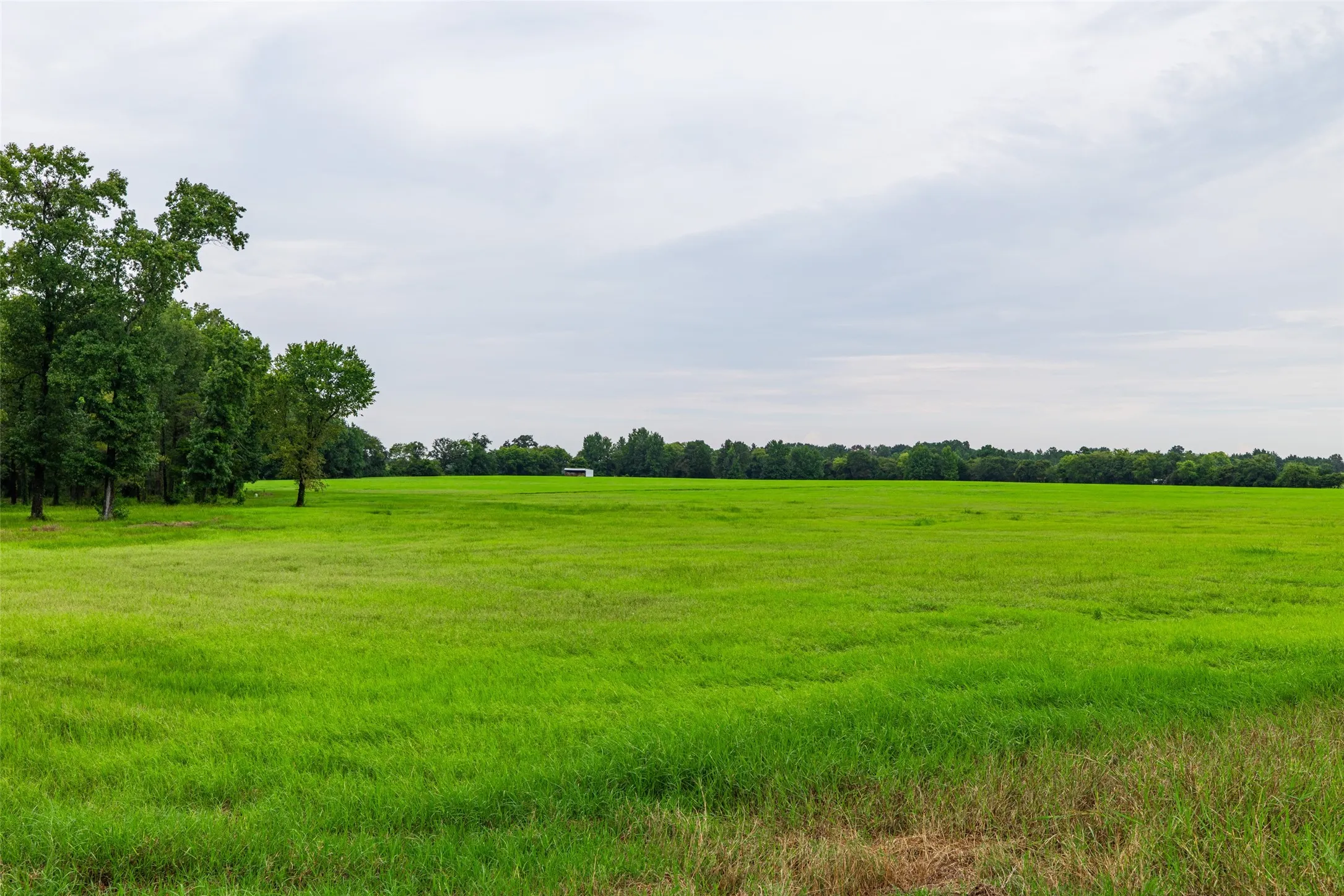 Single Family Residence For Sale in Van Zandt County , 7111 Fm 2339, Murchison, Texas 75778, 1 Bedroom, 1 Bathroom, Garage spaces, 640 Sqft, built in 2011, Preowned, Price $1,999,999, mls#21099592, Real Estate Agent in Murchison, Homes For Sale in Van Zandt county, Homes For Sale in Murchison, Realtor in Murchison Texas, Real Estate Brokerage Independent Realty Texas, Luminita Cordes Realtor