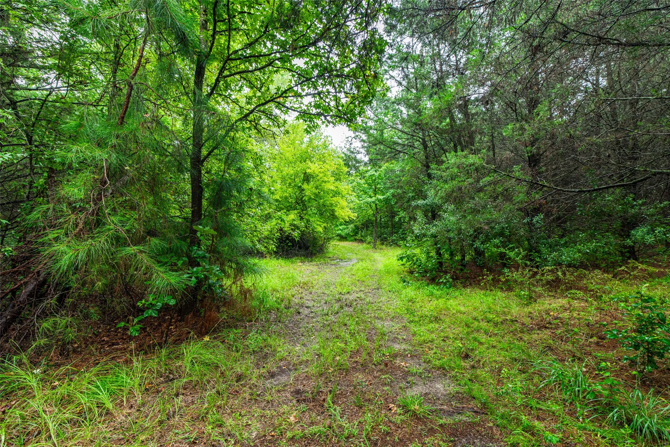 Single Family Residence For Sale in Van Zandt County , 7111 Fm 2339, Murchison, Texas 75778, 1 Bedroom, 1 Bathroom, Garage spaces, 640 Sqft, built in 2011, Preowned, Price $1,999,999, mls#21099592, Real Estate Agent in Murchison, Homes For Sale in Van Zandt county, Homes For Sale in Murchison, Realtor in Murchison Texas, Real Estate Brokerage Independent Realty Texas, Luminita Cordes Realtor
