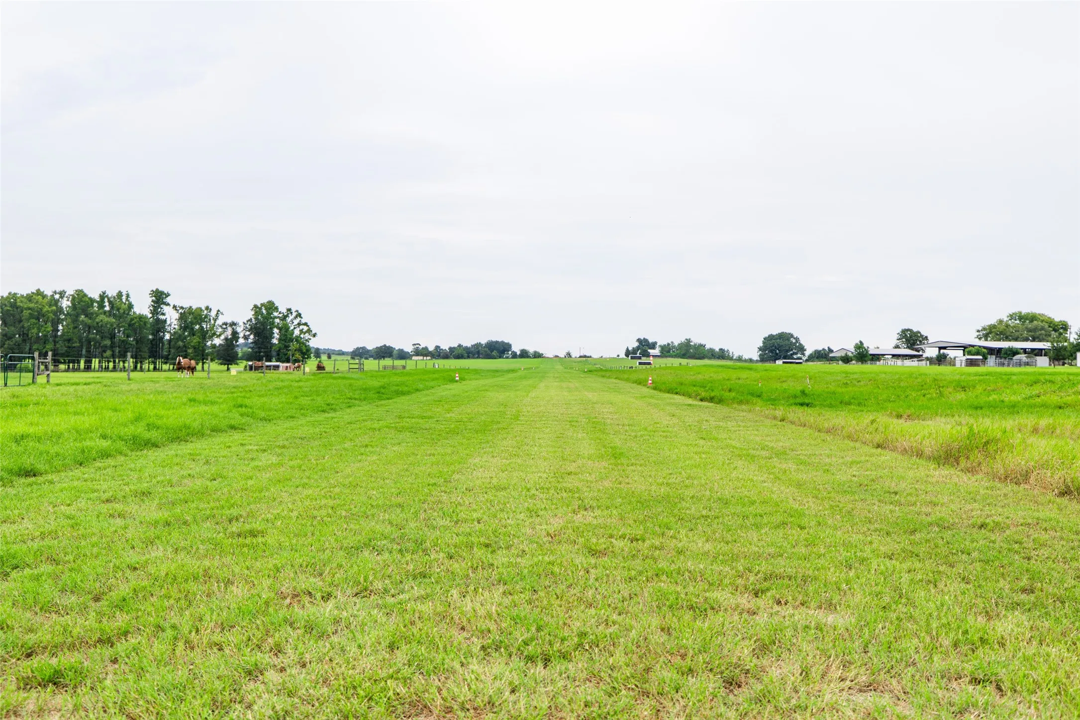 Single Family Residence For Sale in Van Zandt County , 7111 Fm 2339, Murchison, Texas 75778, 1 Bedroom, 1 Bathroom, Garage spaces, 640 Sqft, built in 2011, Preowned, Price $1,999,999, mls#21099592, Real Estate Agent in Murchison, Homes For Sale in Van Zandt county, Homes For Sale in Murchison, Realtor in Murchison Texas, Real Estate Brokerage Independent Realty Texas, Luminita Cordes Realtor