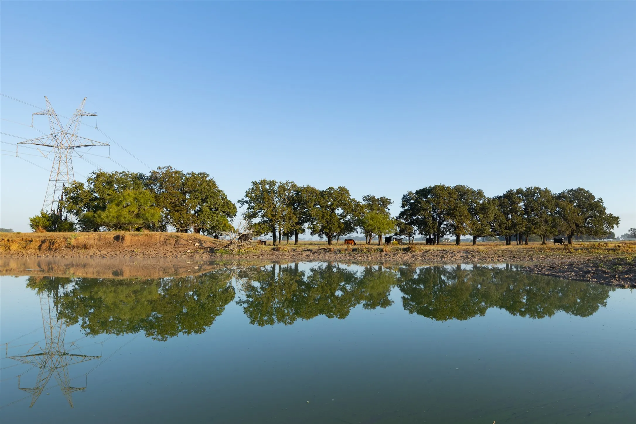 Ranch For Sale in Hood County , TBD Brushy Road, Granbury, Texas 76048, 0, 0, Garage spaces, 0 Sqft, built in 0, mls#21097935, Real Estate Agent in Granbury, Homes For Sale in Hood county, Homes For Sale in Granbury, Realtor in Granbury Texas, Real Estate Brokerage Independent Realty Texas, Luminita Cordes Realtor