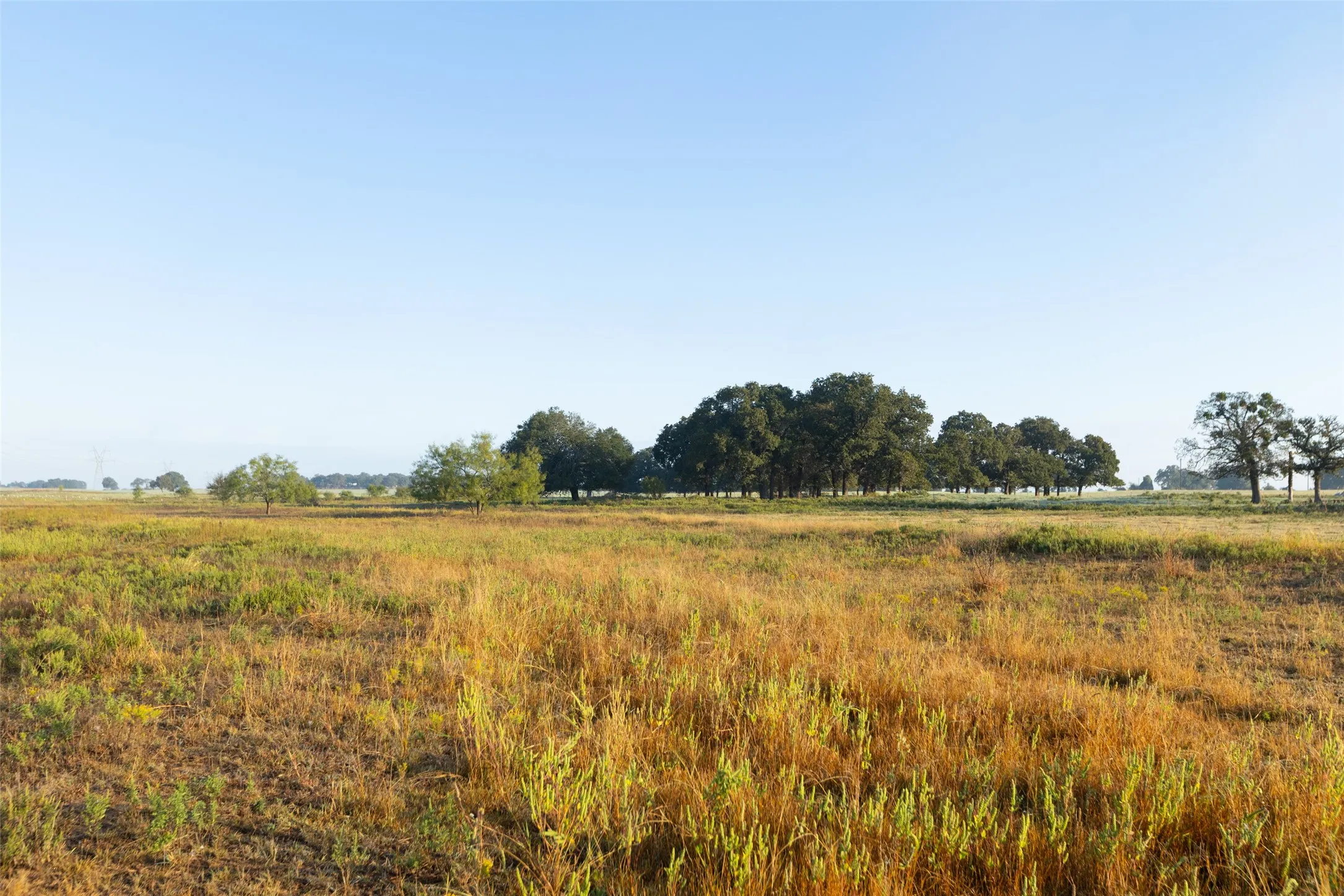 Ranch For Sale in Hood County , TBD Brushy Road, Granbury, Texas 76048, 0, 0, Garage spaces, 0 Sqft, built in 0, mls#21097935, Real Estate Agent in Granbury, Homes For Sale in Hood county, Homes For Sale in Granbury, Realtor in Granbury Texas, Real Estate Brokerage Independent Realty Texas, Luminita Cordes Realtor