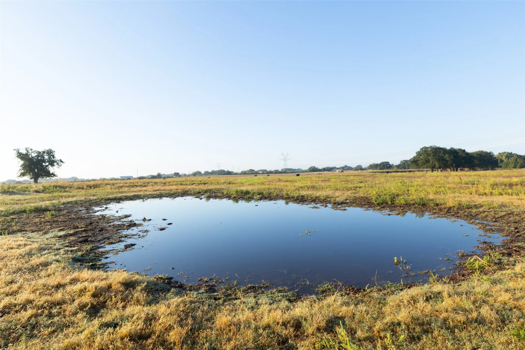 Ranch For Sale in Hood County , TBD Brushy Road Tract 1, Granbury, Texas 76048, 0, 0, Garage spaces, 0 Sqft, built in 0, mls#21100035, Real Estate Agent in Granbury, Homes For Sale in Hood county, Homes For Sale in Granbury, Realtor in Granbury Texas, Real Estate Brokerage Independent Realty Texas, Luminita Cordes Realtor