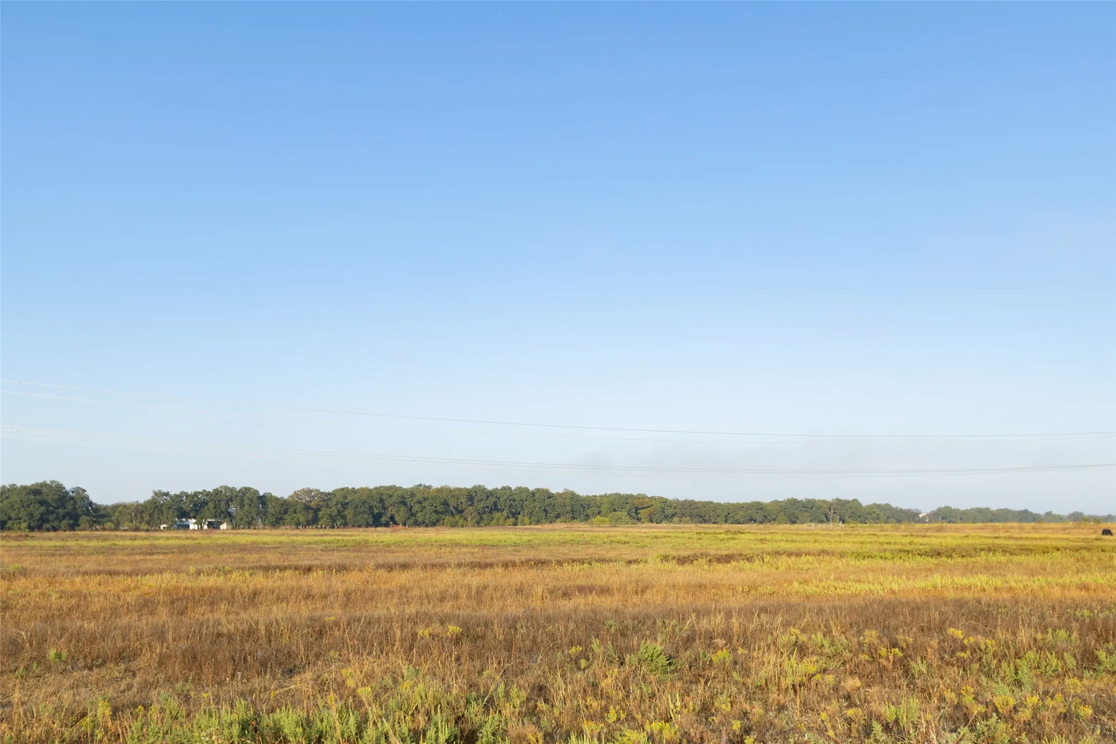 Ranch For Sale in Hood County , TBD Brushy Road Tract 1, Granbury, Texas 76048, 0, 0, Garage spaces, 0 Sqft, built in 0, mls#21100035, Real Estate Agent in Granbury, Homes For Sale in Hood county, Homes For Sale in Granbury, Realtor in Granbury Texas, Real Estate Brokerage Independent Realty Texas, Luminita Cordes Realtor