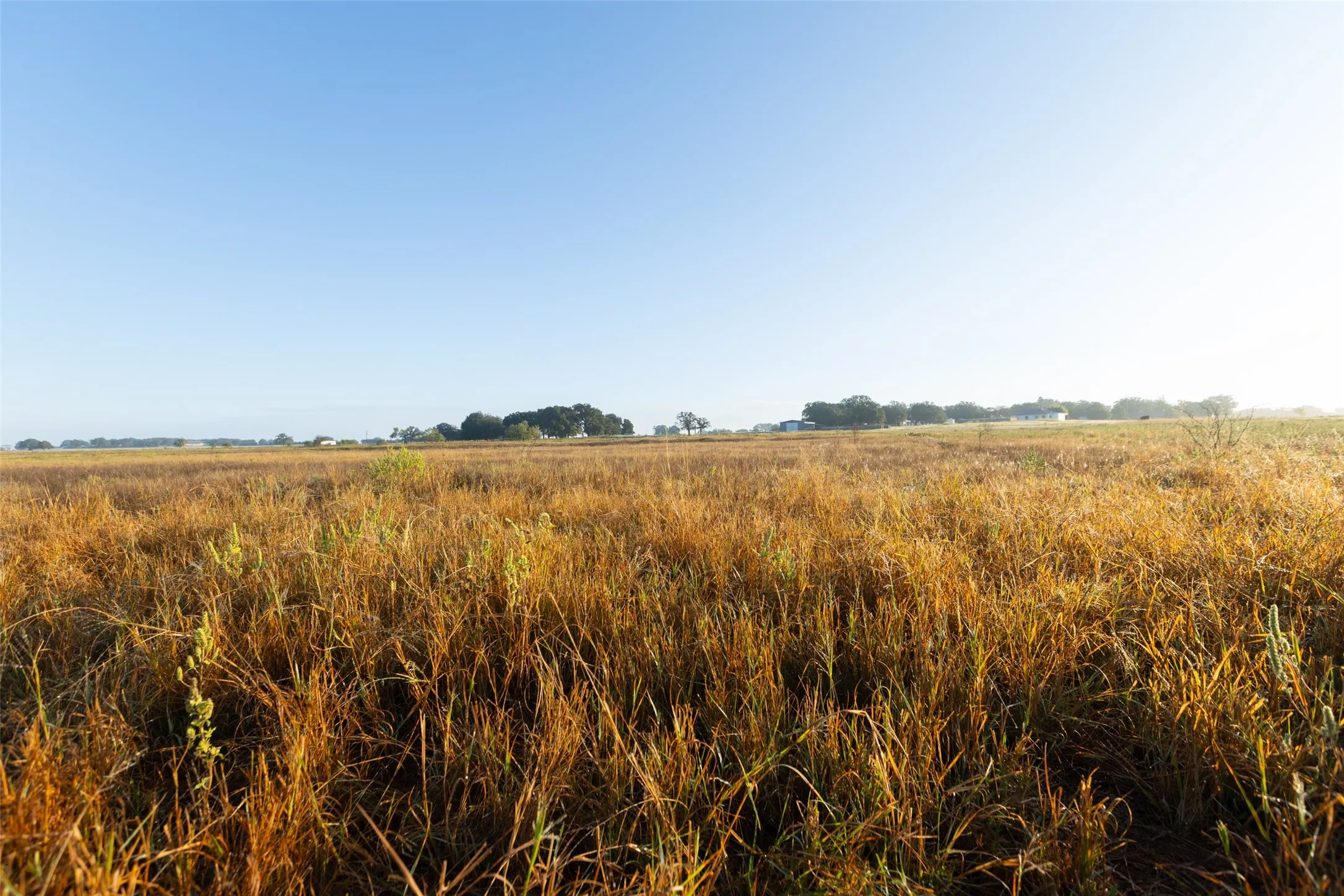Ranch For Sale in Hood County , TBD Brushy Road Tract 1, Granbury, Texas 76048, 0, 0, Garage spaces, 0 Sqft, built in 0, mls#21100035, Real Estate Agent in Granbury, Homes For Sale in Hood county, Homes For Sale in Granbury, Realtor in Granbury Texas, Real Estate Brokerage Independent Realty Texas, Luminita Cordes Realtor