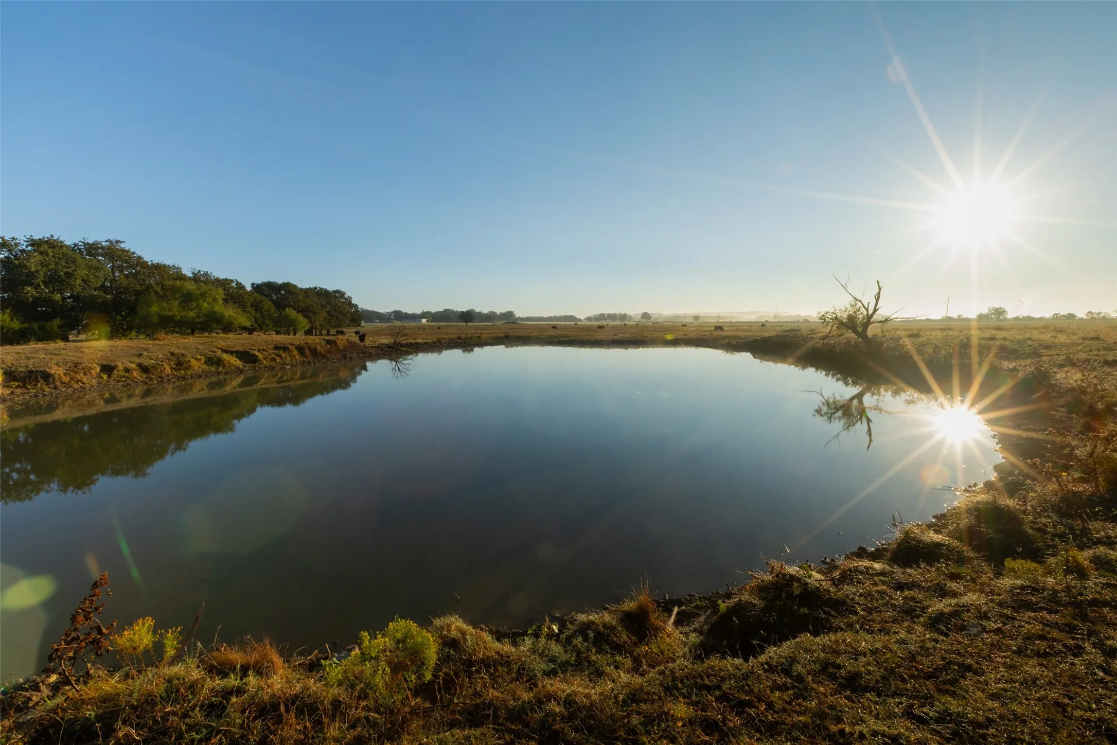Ranch For Sale in Hood County , TBD Brushy Road Tract 2, Granbury, Texas 76048, 0, 0, Garage spaces, 0 Sqft, built in 0, mls#21100042, Real Estate Agent in Granbury, Homes For Sale in Hood county, Homes For Sale in Granbury, Realtor in Granbury Texas, Real Estate Brokerage Independent Realty Texas, Luminita Cordes Realtor