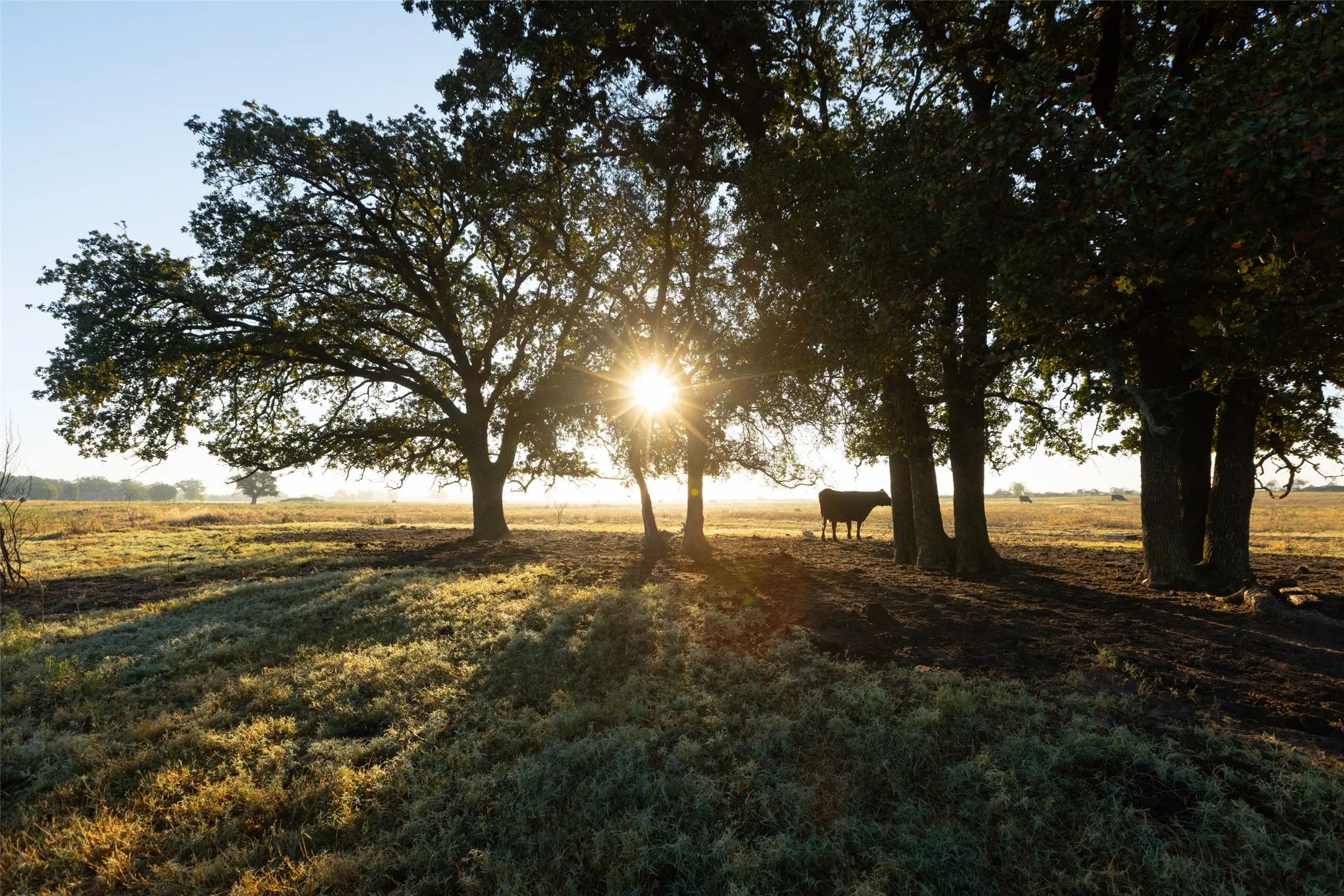 Ranch For Sale in Hood County , TBD Brushy Road Tract 2, Granbury, Texas 76048, 0, 0, Garage spaces, 0 Sqft, built in 0, mls#21100042, Real Estate Agent in Granbury, Homes For Sale in Hood county, Homes For Sale in Granbury, Realtor in Granbury Texas, Real Estate Brokerage Independent Realty Texas, Luminita Cordes Realtor