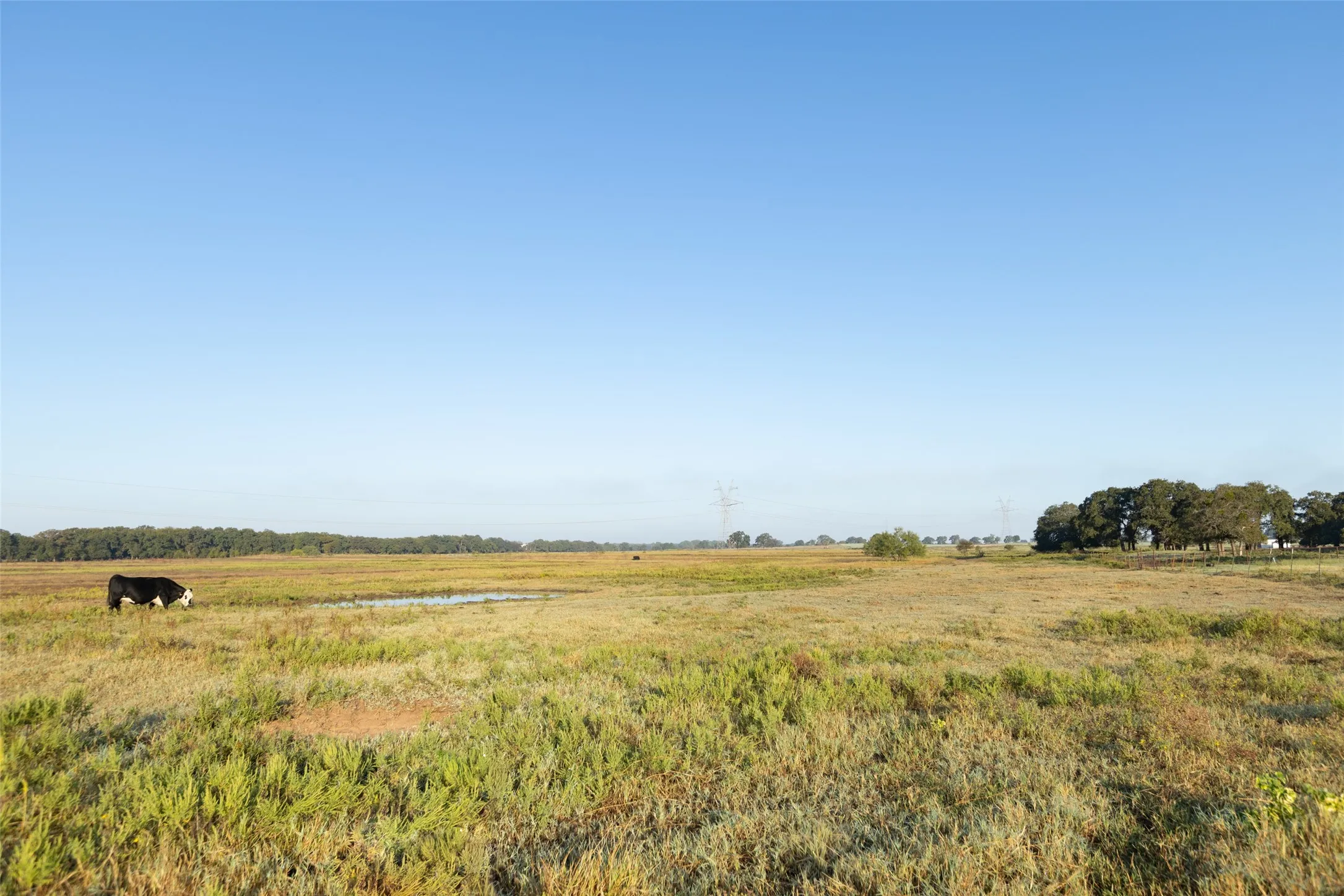 Ranch For Sale in Hood County , TBD Brushy Road Tract 2, Granbury, Texas 76048, 0, 0, Garage spaces, 0 Sqft, built in 0, mls#21100042, Real Estate Agent in Granbury, Homes For Sale in Hood county, Homes For Sale in Granbury, Realtor in Granbury Texas, Real Estate Brokerage Independent Realty Texas, Luminita Cordes Realtor
