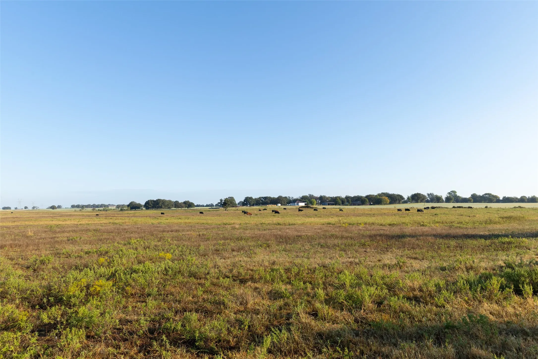 Ranch For Sale in Hood County , TBD Brushy Road Tract 2, Granbury, Texas 76048, 0, 0, Garage spaces, 0 Sqft, built in 0, mls#21100042, Real Estate Agent in Granbury, Homes For Sale in Hood county, Homes For Sale in Granbury, Realtor in Granbury Texas, Real Estate Brokerage Independent Realty Texas, Luminita Cordes Realtor