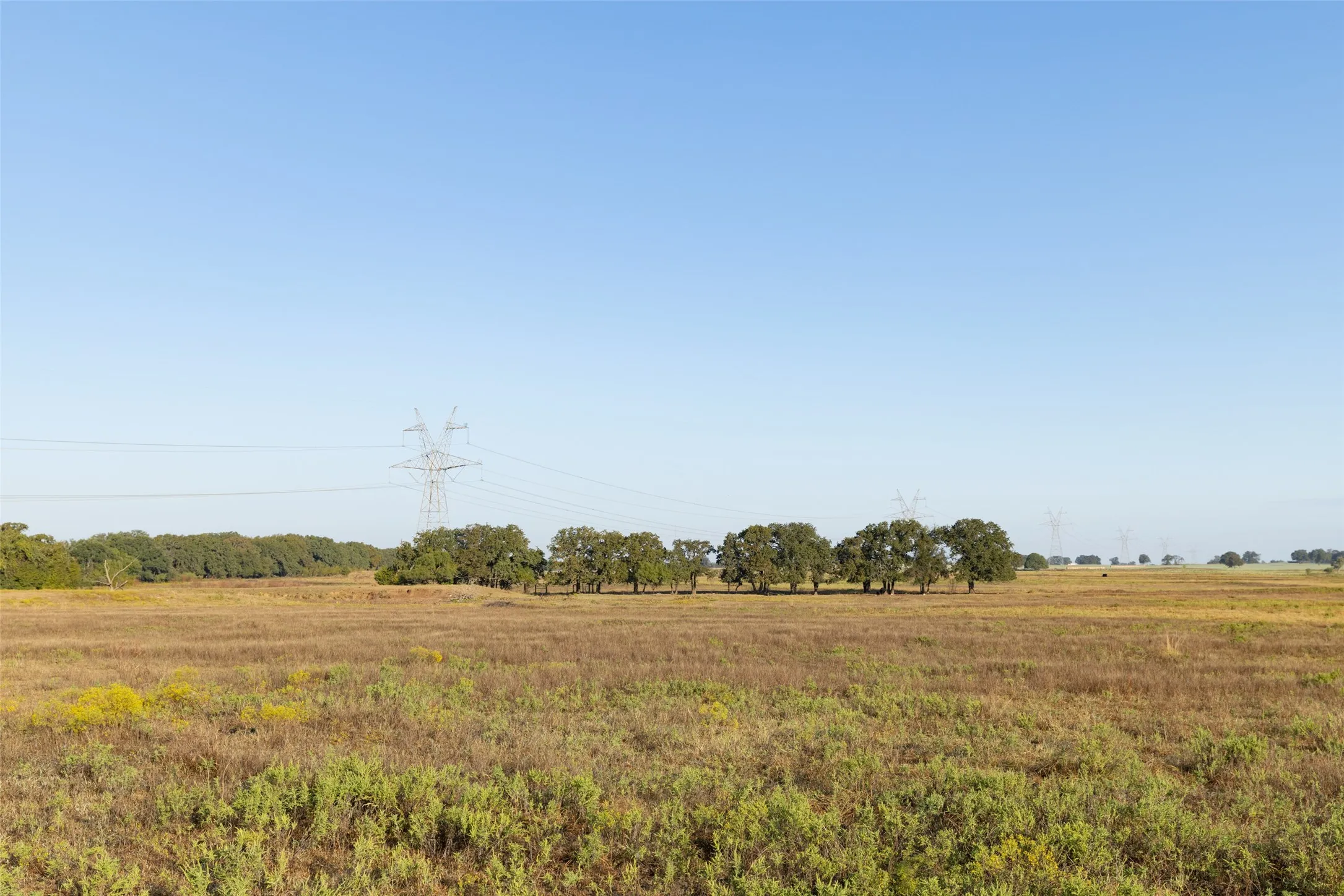 Ranch For Sale in Hood County , TBD Brushy Road Tract 2, Granbury, Texas 76048, 0, 0, Garage spaces, 0 Sqft, built in 0, mls#21100042, Real Estate Agent in Granbury, Homes For Sale in Hood county, Homes For Sale in Granbury, Realtor in Granbury Texas, Real Estate Brokerage Independent Realty Texas, Luminita Cordes Realtor