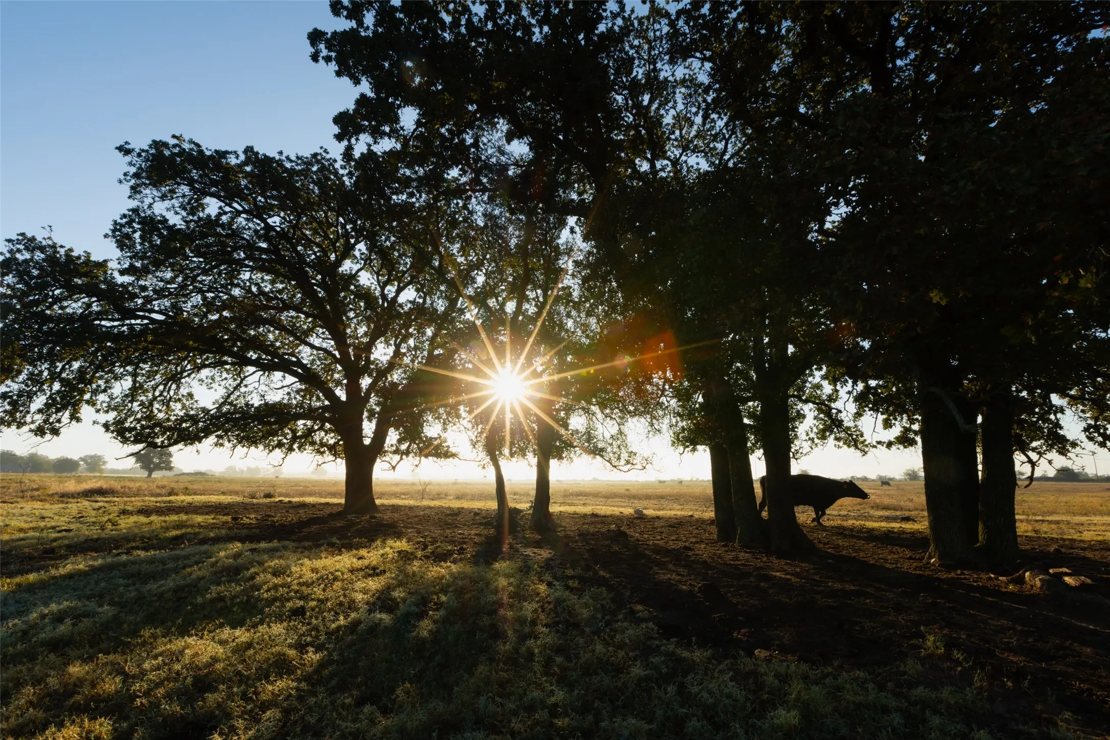 Ranch For Sale in Hood County , TBD Brushy Road Tract 1 & 2, Granbury, Texas 76048, 0, 0, Garage spaces, 0 Sqft, built in 0, mls#21100051, Real Estate Agent in Granbury, Homes For Sale in Hood county, Homes For Sale in Granbury, Realtor in Granbury Texas, Real Estate Brokerage Independent Realty Texas, Luminita Cordes Realtor