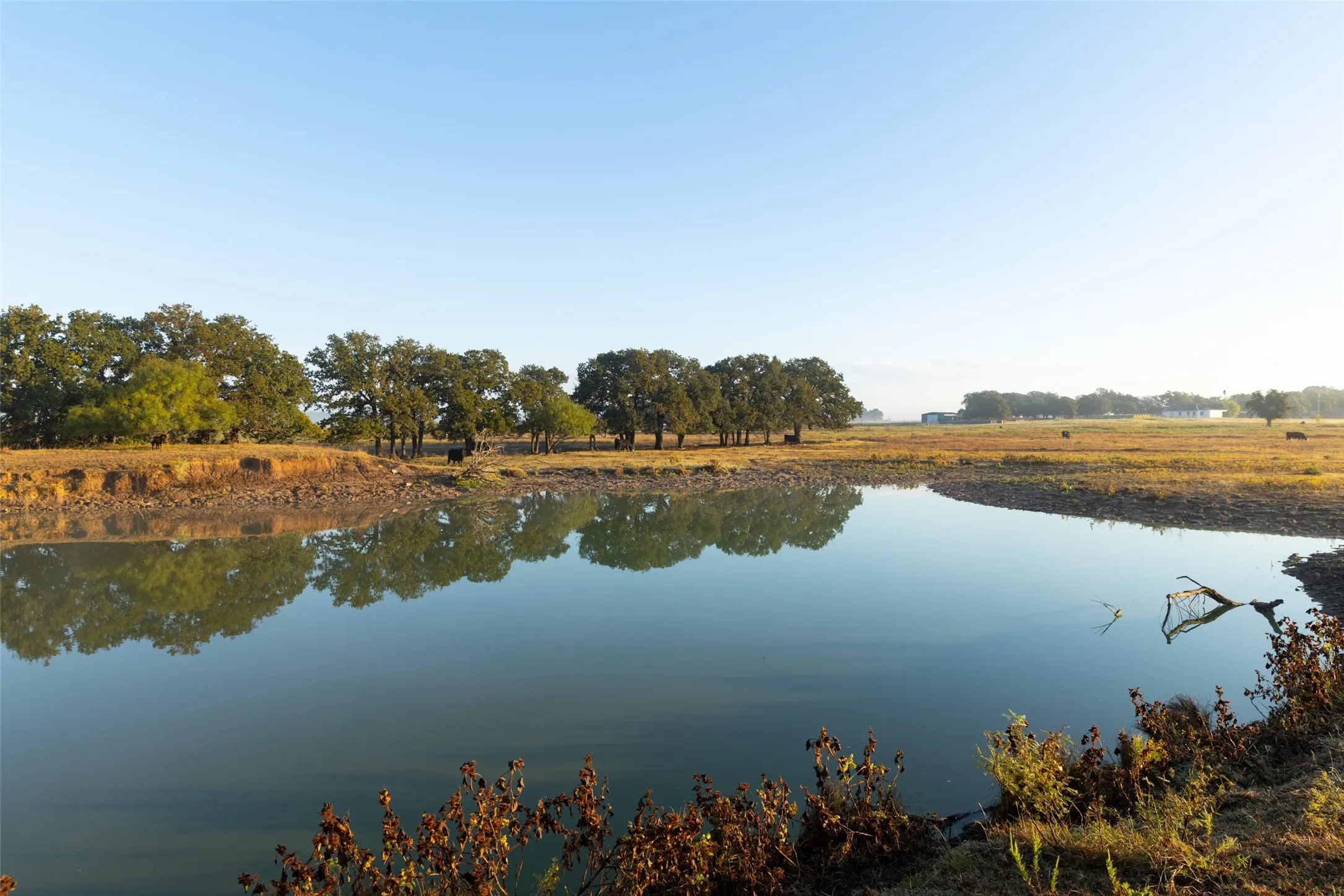 Ranch For Sale in Hood County , TBD Brushy Road Tract 4, Granbury, Texas 76048, 0, 0, Garage spaces, 0 Sqft, built in 0, mls#21100067, Real Estate Agent in Granbury, Homes For Sale in Hood county, Homes For Sale in Granbury, Realtor in Granbury Texas, Real Estate Brokerage Independent Realty Texas, Luminita Cordes Realtor