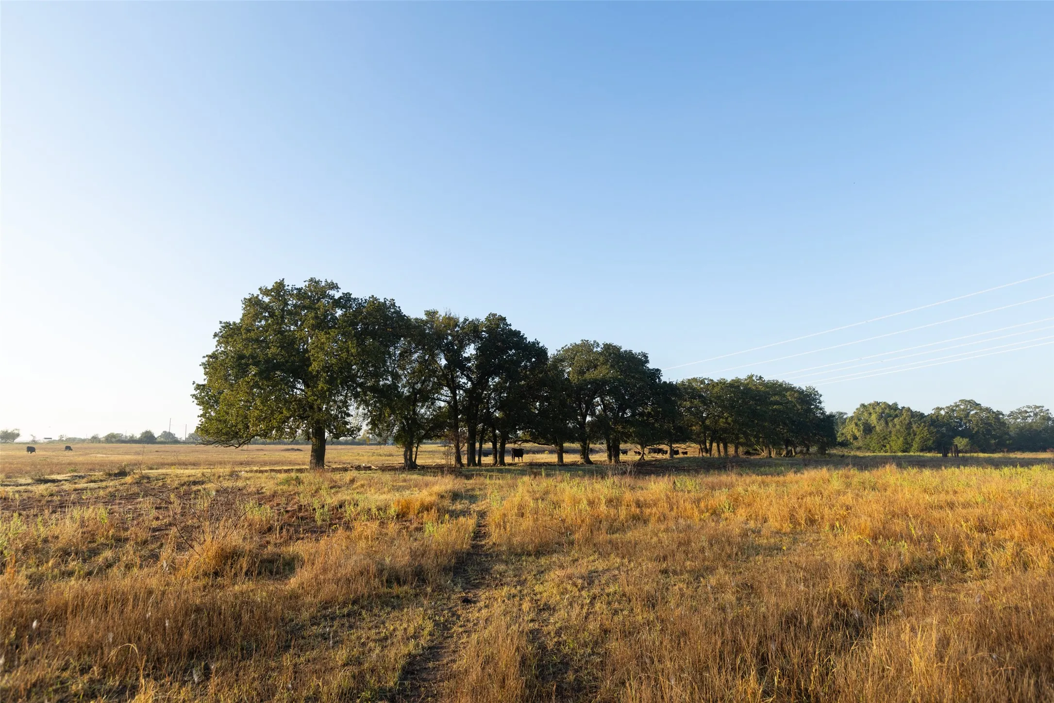 Ranch For Sale in Hood County , TBD Brushy Road Tract 4, Granbury, Texas 76048, 0, 0, Garage spaces, 0 Sqft, built in 0, mls#21100067, Real Estate Agent in Granbury, Homes For Sale in Hood county, Homes For Sale in Granbury, Realtor in Granbury Texas, Real Estate Brokerage Independent Realty Texas, Luminita Cordes Realtor