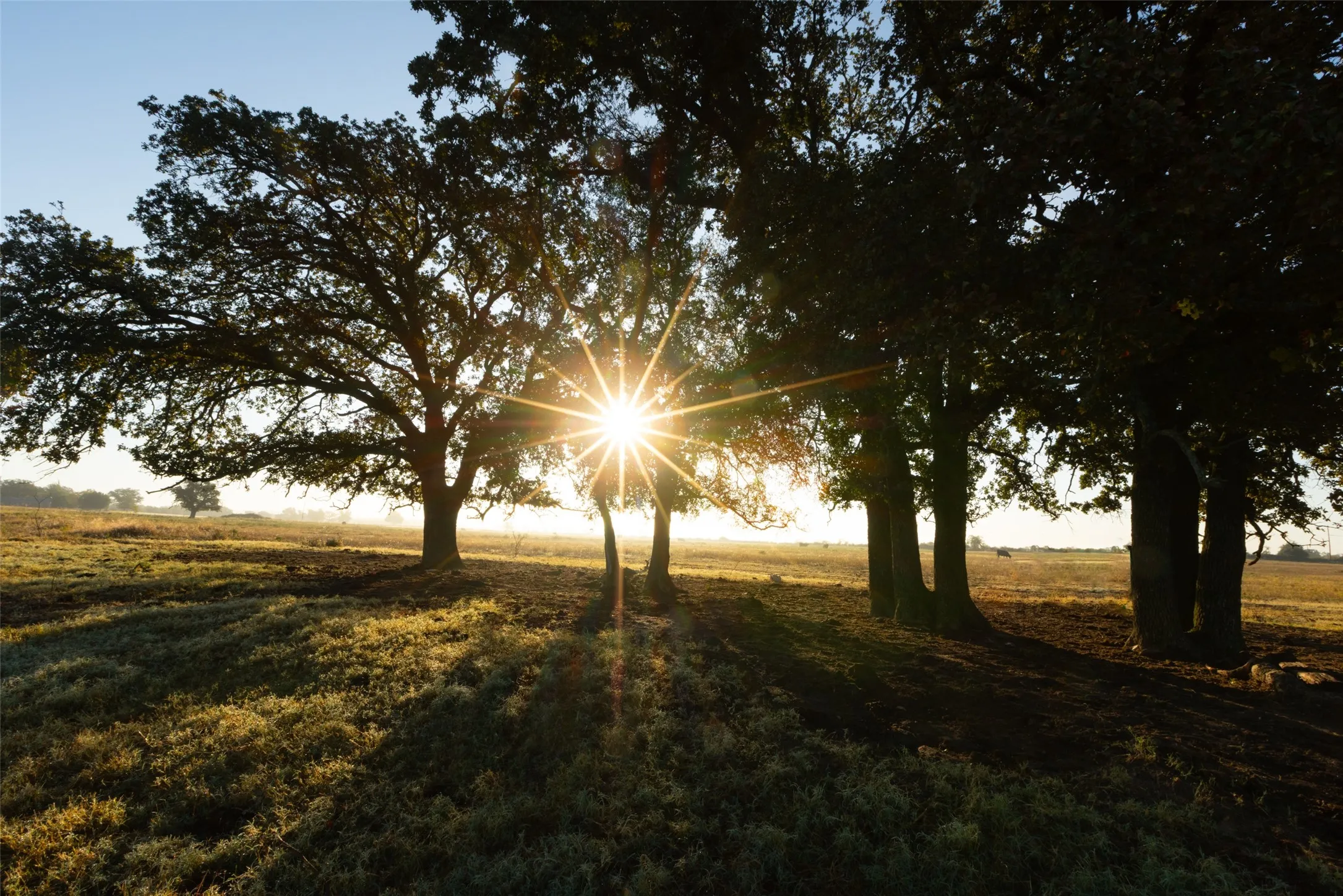 Ranch For Sale in Hood County , TBD Brushy Road Tract 4, Granbury, Texas 76048, 0, 0, Garage spaces, 0 Sqft, built in 0, mls#21100067, Real Estate Agent in Granbury, Homes For Sale in Hood county, Homes For Sale in Granbury, Realtor in Granbury Texas, Real Estate Brokerage Independent Realty Texas, Luminita Cordes Realtor