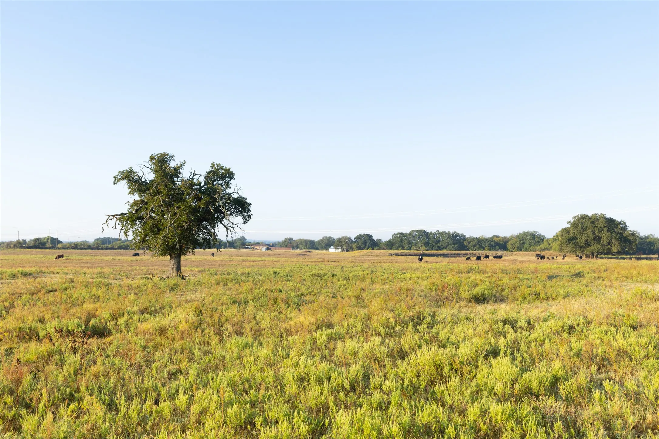 Ranch For Sale in Hood County , TBD Brushy Road Tract 4, Granbury, Texas 76048, 0, 0, Garage spaces, 0 Sqft, built in 0, mls#21100067, Real Estate Agent in Granbury, Homes For Sale in Hood county, Homes For Sale in Granbury, Realtor in Granbury Texas, Real Estate Brokerage Independent Realty Texas, Luminita Cordes Realtor