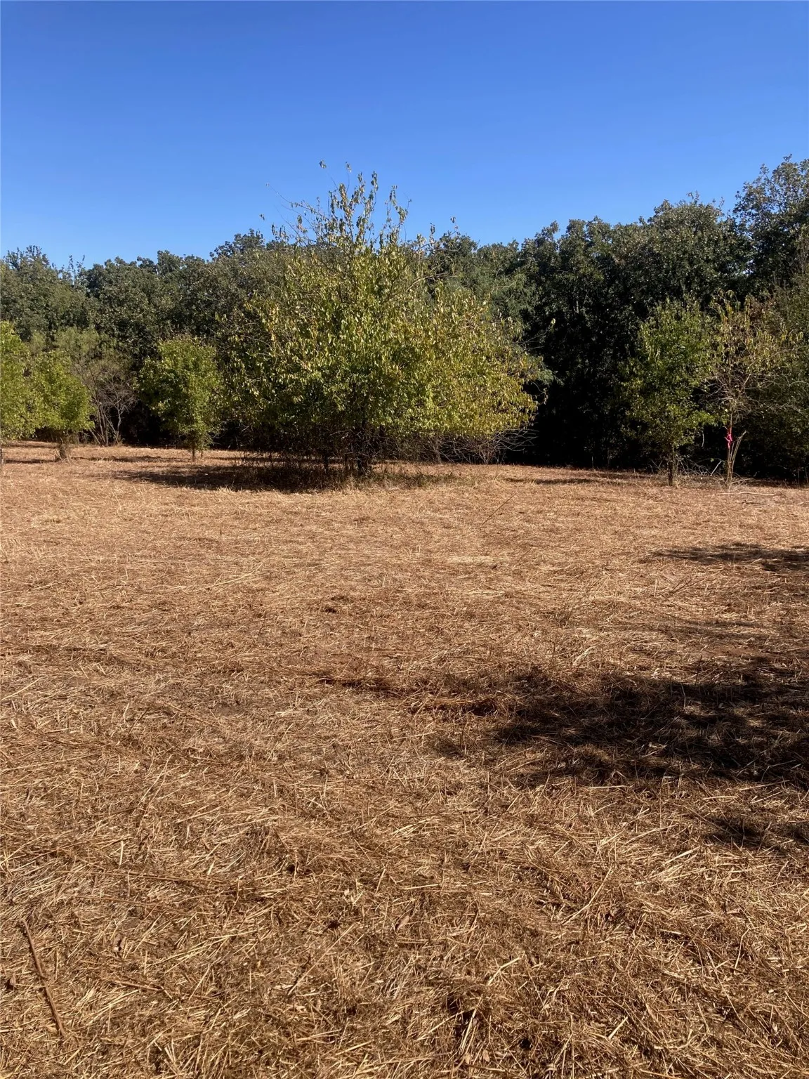 View of local wilderness featuring rural landscape