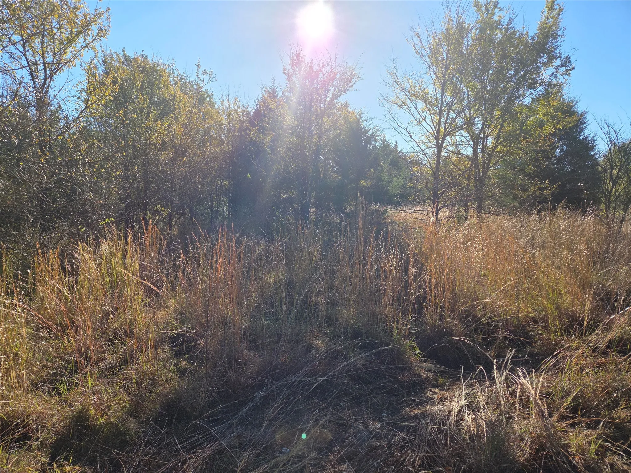 Unimproved Land For Sale in Navarro County , Lot 20 Sunrise W, Corsicana, Texas 75109, 0, 0, Garage spaces, 0 Sqft, built in 0, mls#21073798, Real Estate Agent in Corsicana, Homes For Sale in Navarro county, Homes For Sale in Corsicana, Realtor in Corsicana Texas, Real Estate Brokerage Independent Realty Texas, Luminita Cordes Realtor
