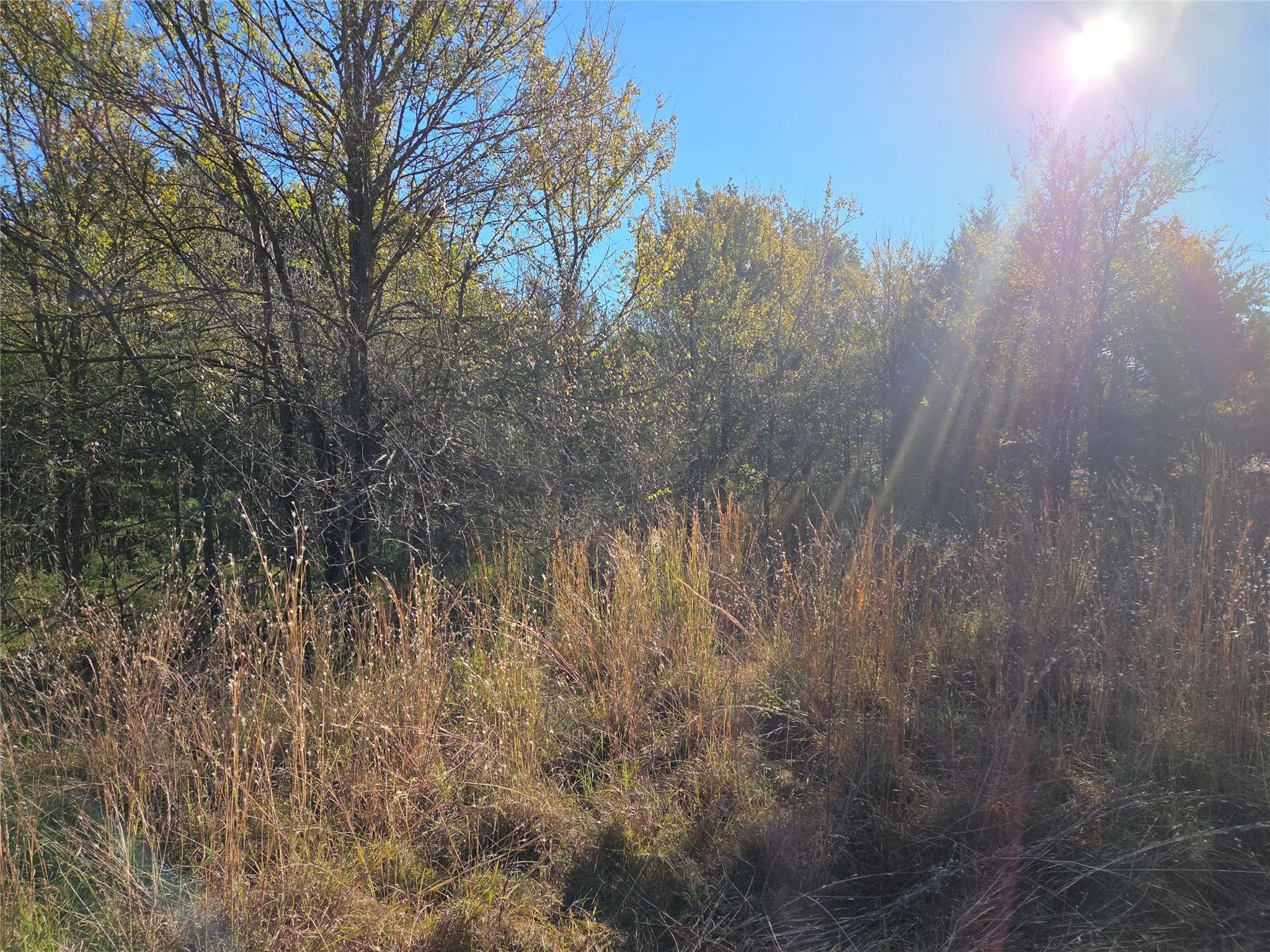 Unimproved Land For Sale in Navarro County , Lot 20 Sunrise W, Corsicana, Texas 75109, 0, 0, Garage spaces, 0 Sqft, built in 0, mls#21073798, Real Estate Agent in Corsicana, Homes For Sale in Navarro county, Homes For Sale in Corsicana, Realtor in Corsicana Texas, Real Estate Brokerage Independent Realty Texas, Luminita Cordes Realtor