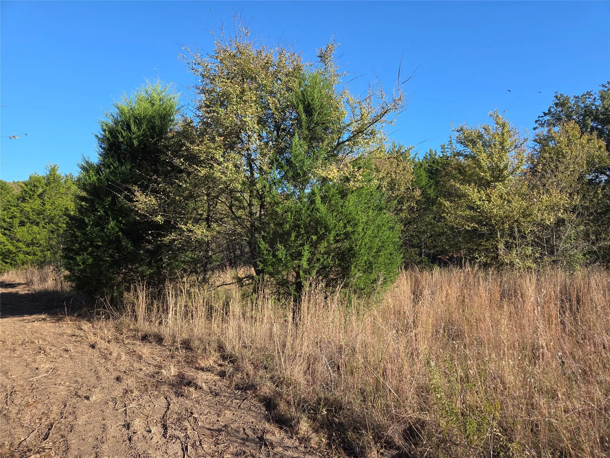 Unimproved Land For Sale in Navarro County , Lot 20 Sunrise W, Corsicana, Texas 75109, 0, 0, Garage spaces, 0 Sqft, built in 0, mls#21073798, Real Estate Agent in Corsicana, Homes For Sale in Navarro county, Homes For Sale in Corsicana, Realtor in Corsicana Texas, Real Estate Brokerage Independent Realty Texas, Luminita Cordes Realtor