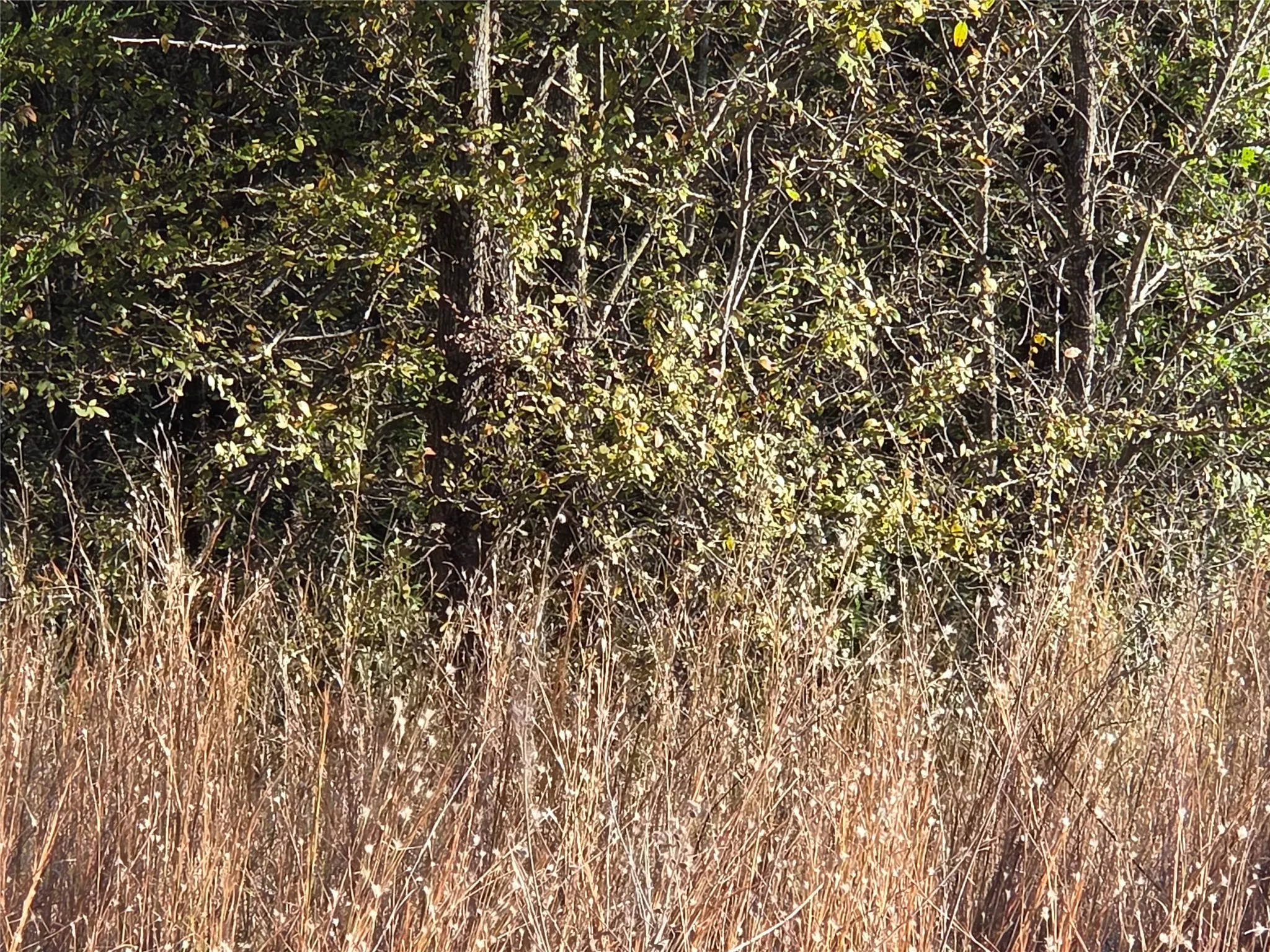 Unimproved Land For Sale in Navarro County , Lot 20 Sunrise W, Corsicana, Texas 75109, 0, 0, Garage spaces, 0 Sqft, built in 0, mls#21073798, Real Estate Agent in Corsicana, Homes For Sale in Navarro county, Homes For Sale in Corsicana, Realtor in Corsicana Texas, Real Estate Brokerage Independent Realty Texas, Luminita Cordes Realtor
