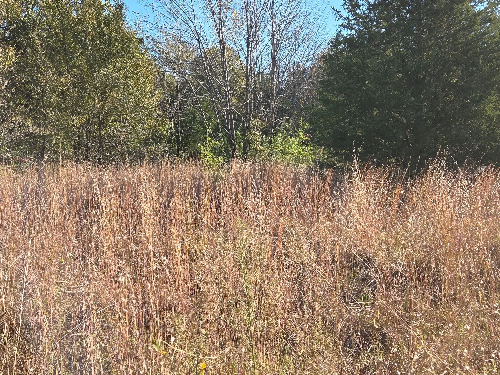 Unimproved Land For Sale in Navarro County , Lot 20 Sunrise W, Corsicana, Texas 75109, 0, 0, Garage spaces, 0 Sqft, built in 0, mls#21073798, Real Estate Agent in Corsicana, Homes For Sale in Navarro county, Homes For Sale in Corsicana, Realtor in Corsicana Texas, Real Estate Brokerage Independent Realty Texas, Luminita Cordes Realtor