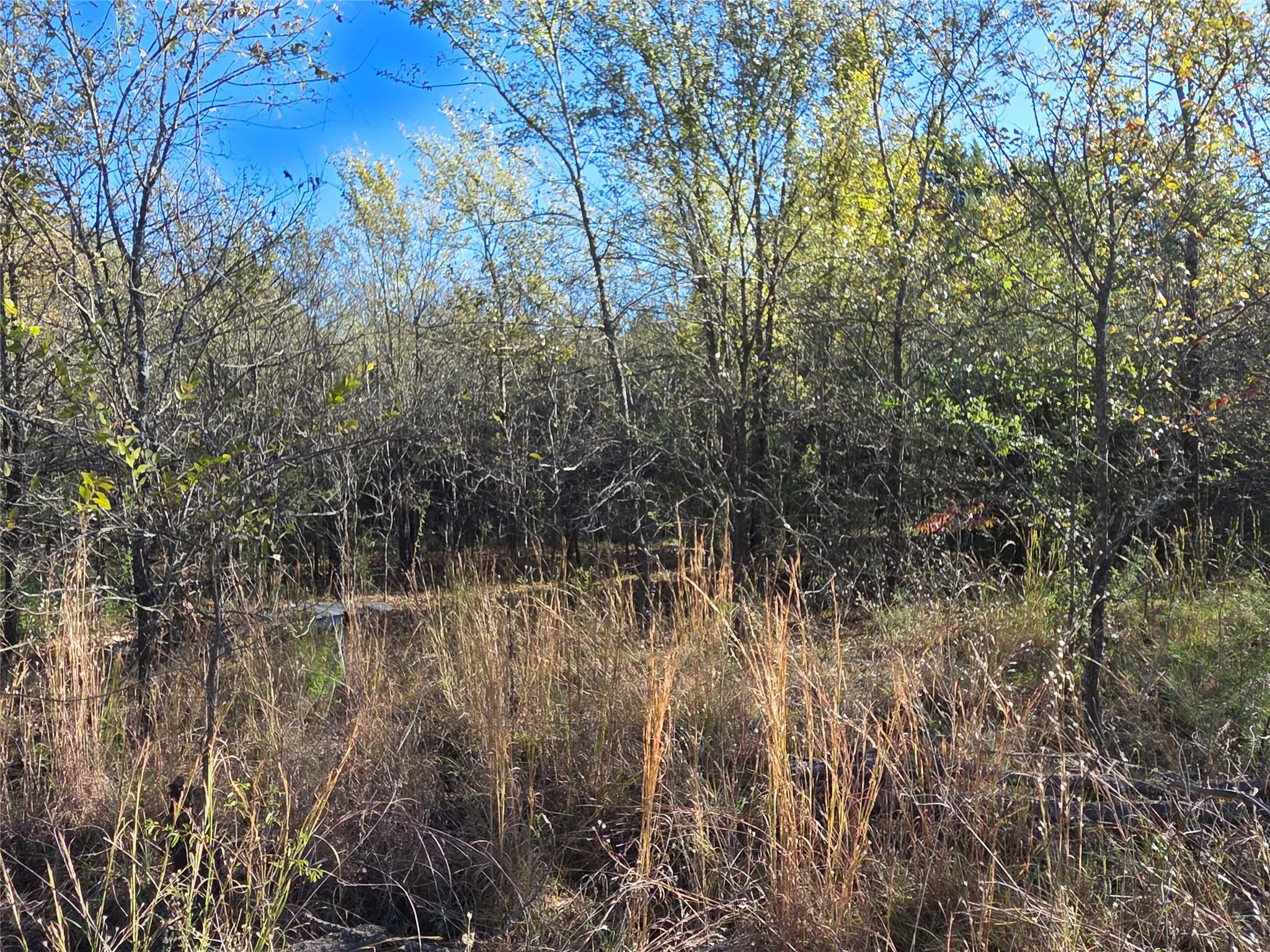 Unimproved Land For Sale in Navarro County , Lot 20 Sunrise W, Corsicana, Texas 75109, 0, 0, Garage spaces, 0 Sqft, built in 0, mls#21073798, Real Estate Agent in Corsicana, Homes For Sale in Navarro county, Homes For Sale in Corsicana, Realtor in Corsicana Texas, Real Estate Brokerage Independent Realty Texas, Luminita Cordes Realtor
